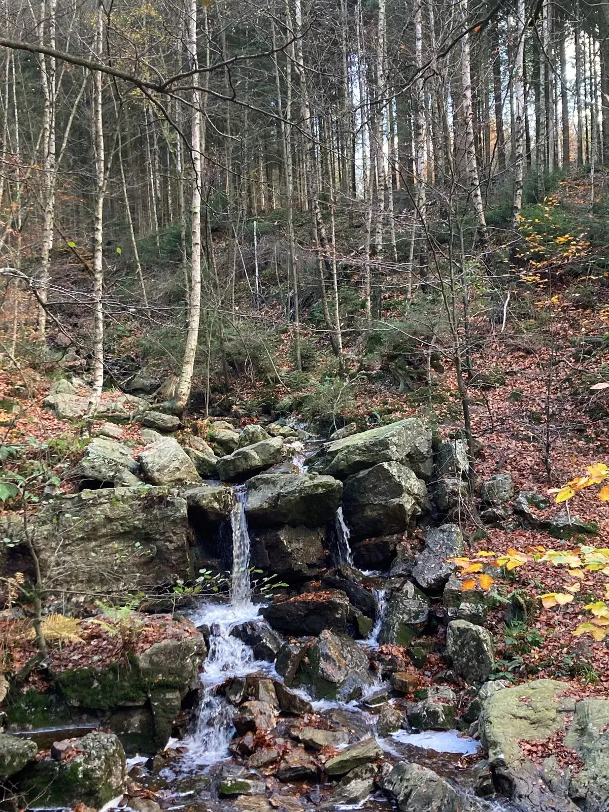 Wandeling afbeelding