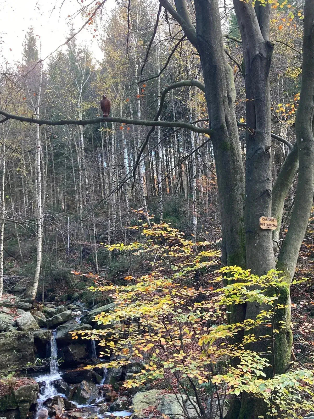 Wandeling afbeelding