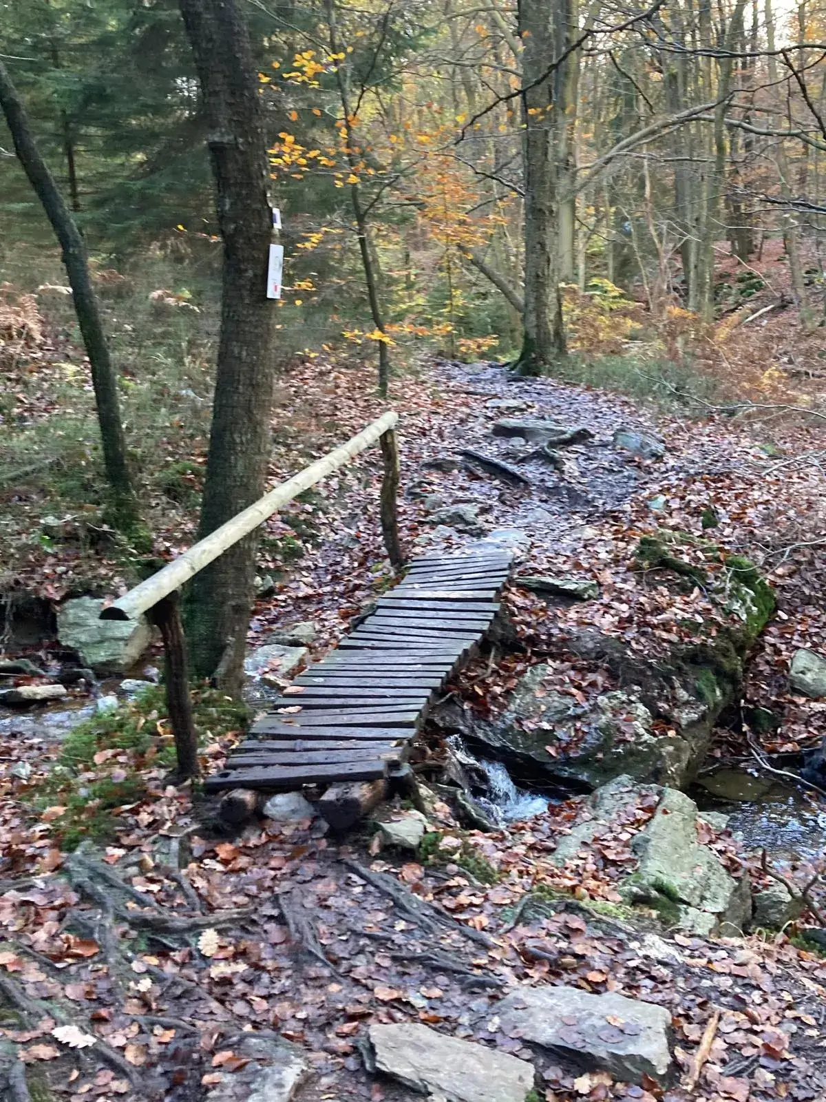 Wandeling afbeelding