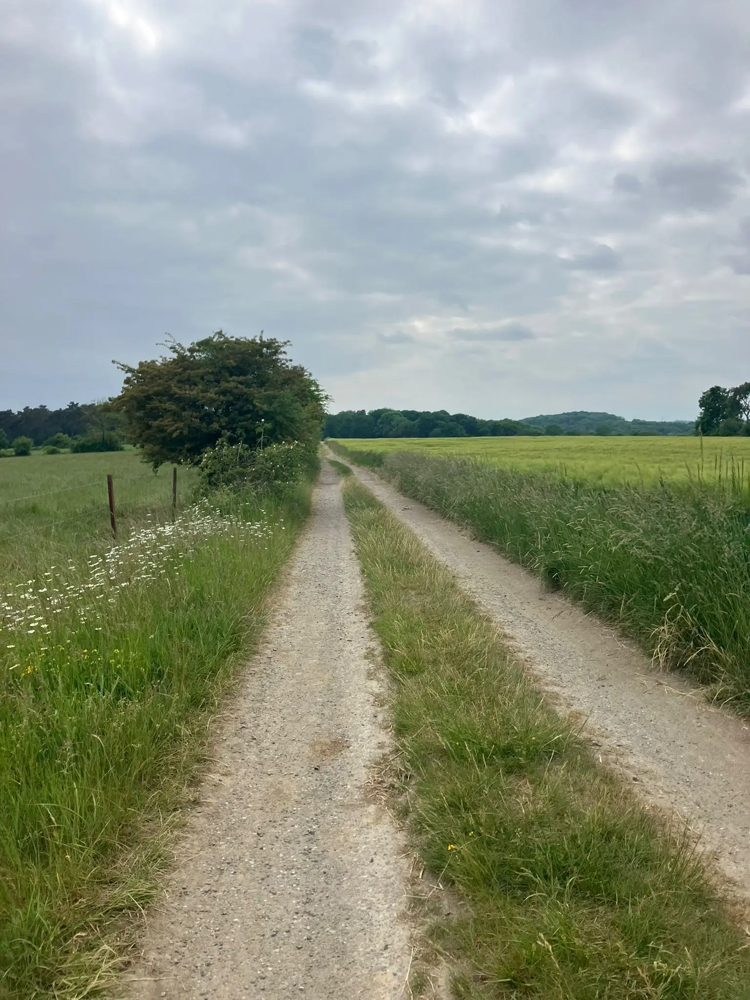 Wandeling afbeelding