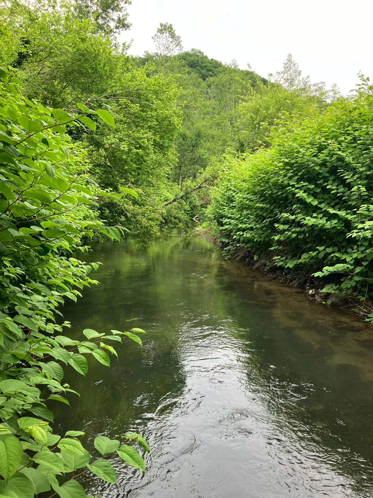Wandeling afbeelding