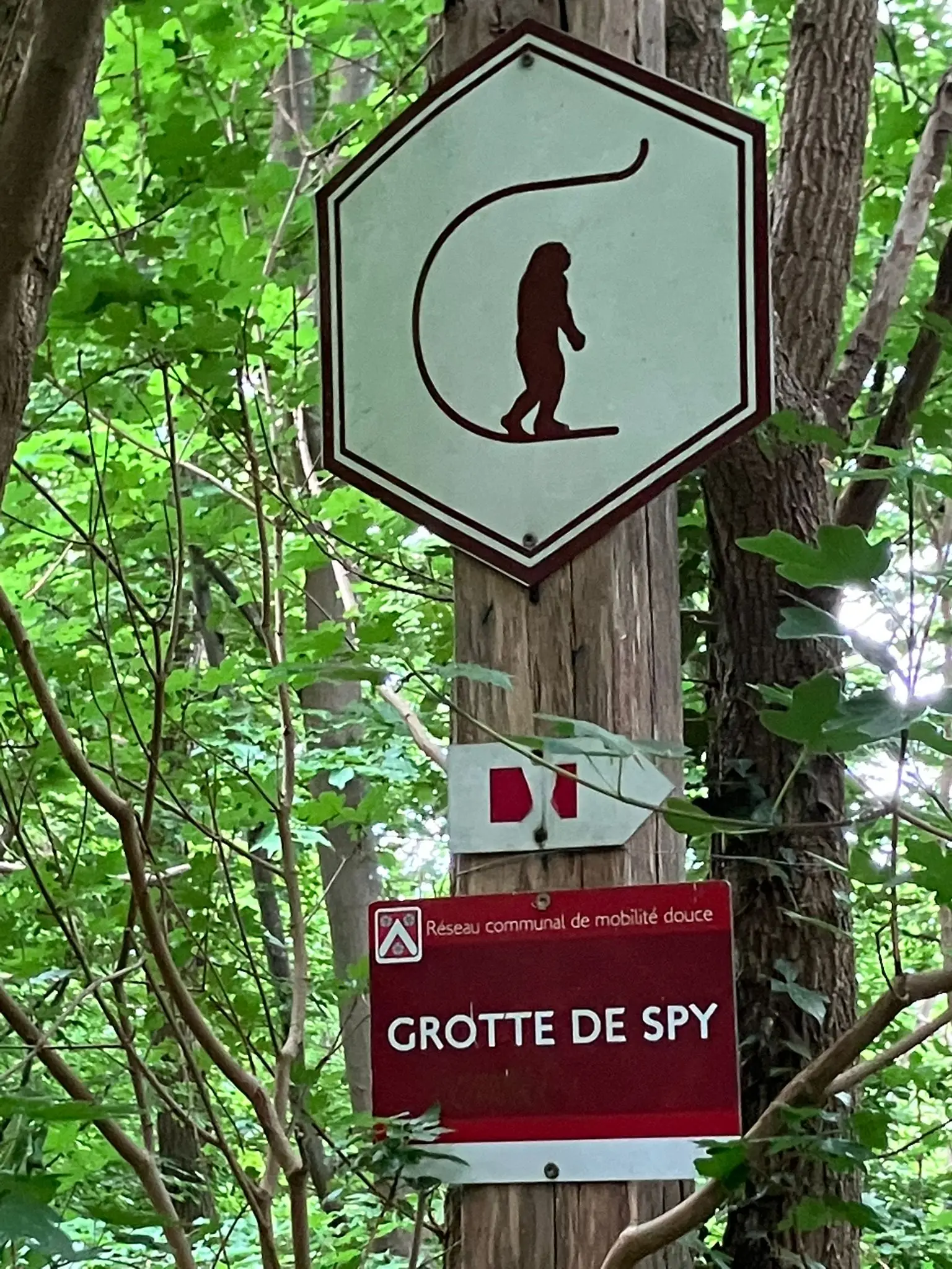 Wandeling afbeelding