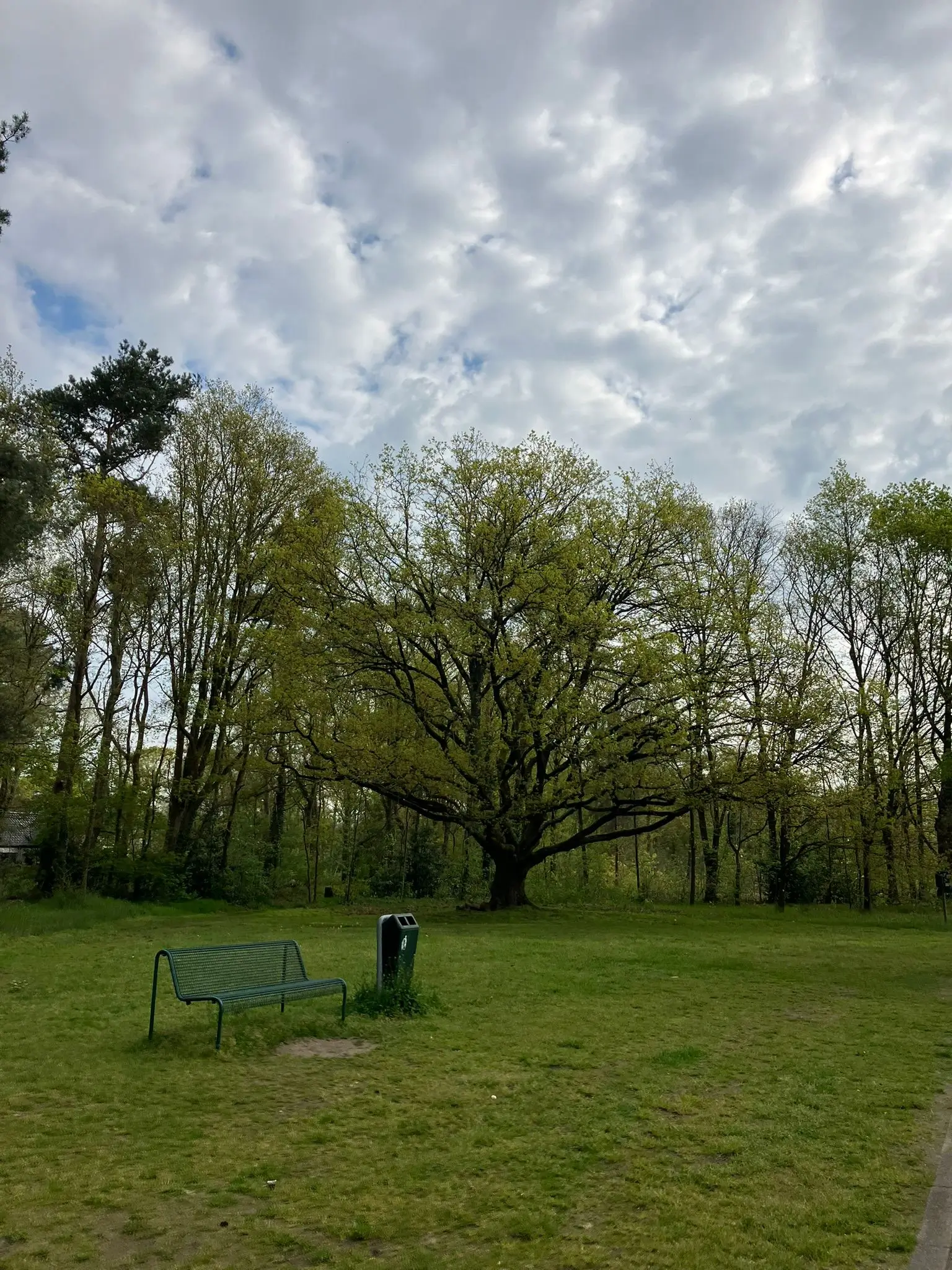Wandeling afbeelding
