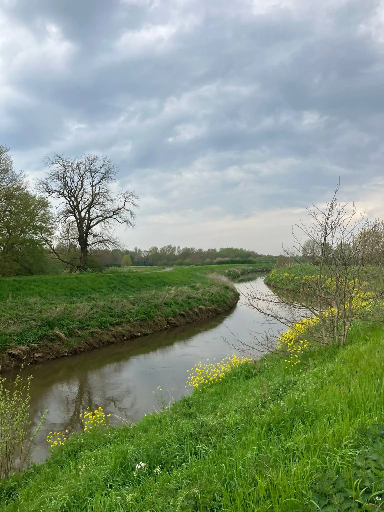Wandeling afbeelding