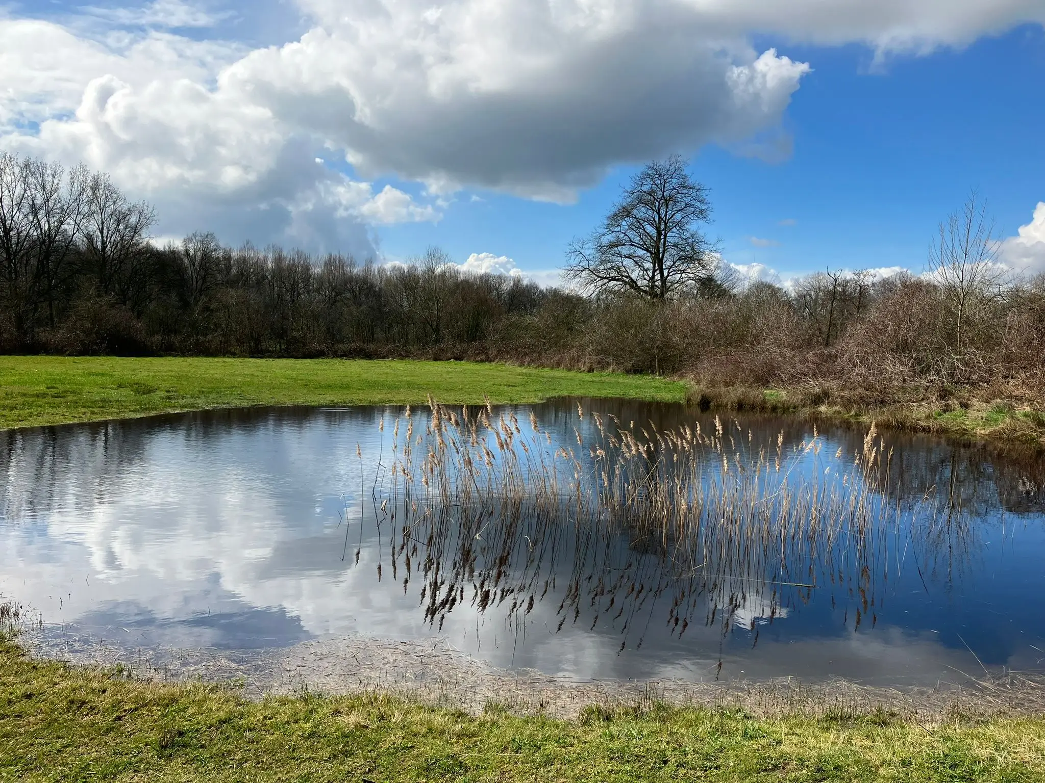 Wandeling afbeelding