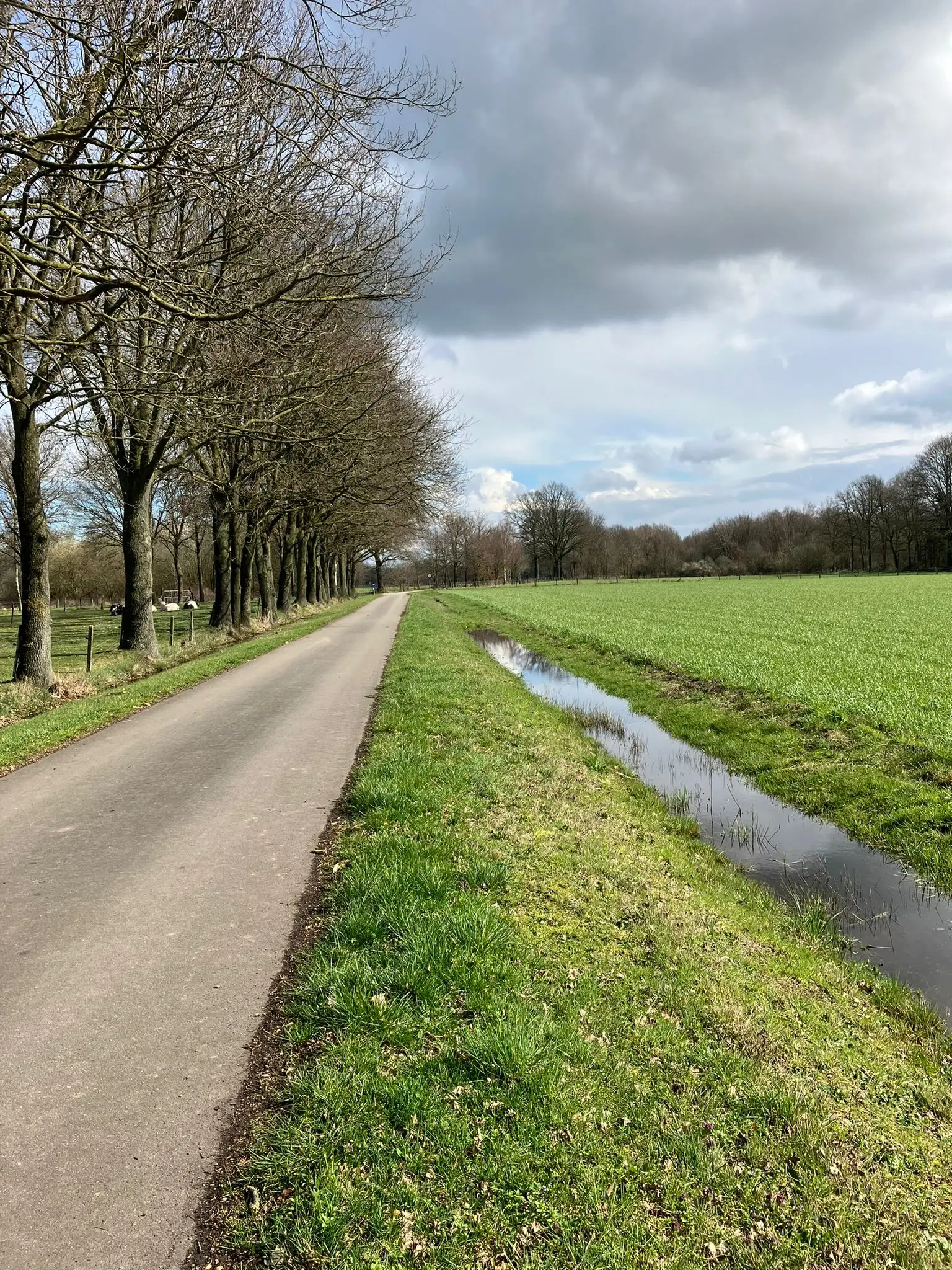Wandeling afbeelding