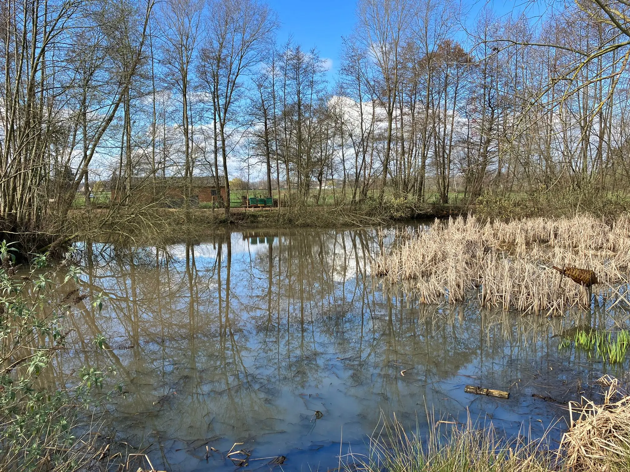 Wandeling afbeelding
