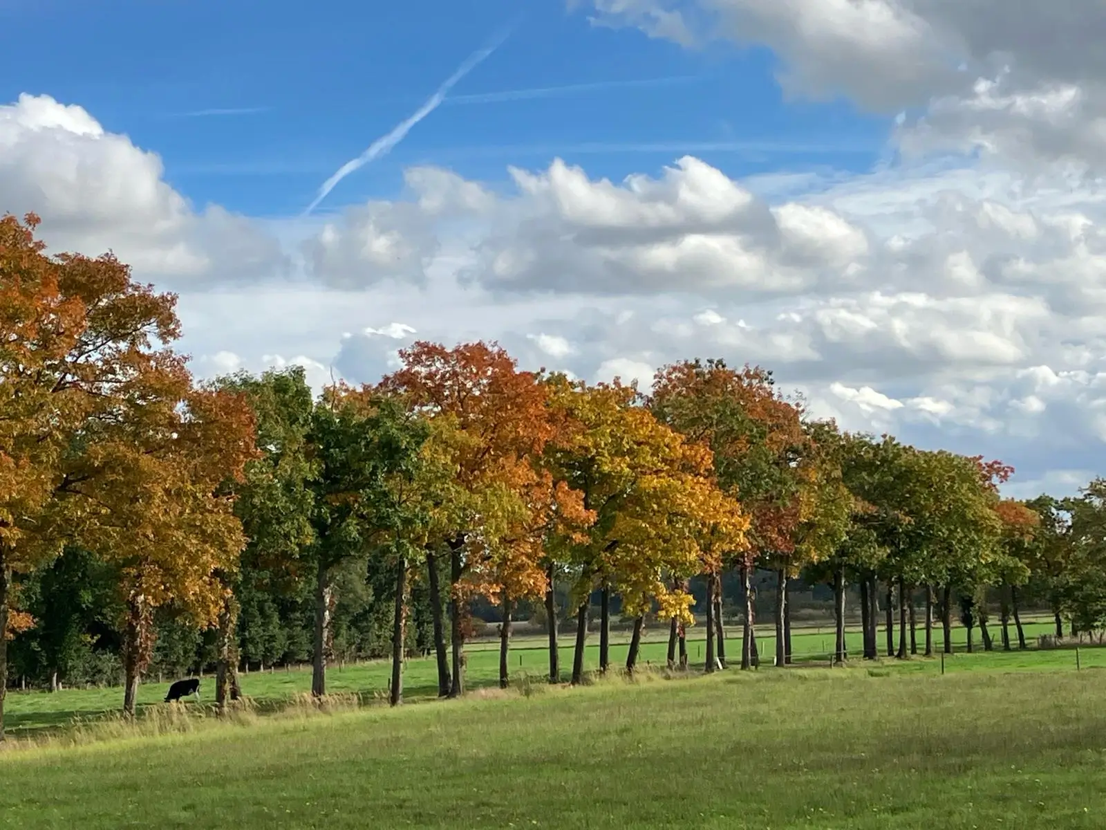 Wandeling afbeelding