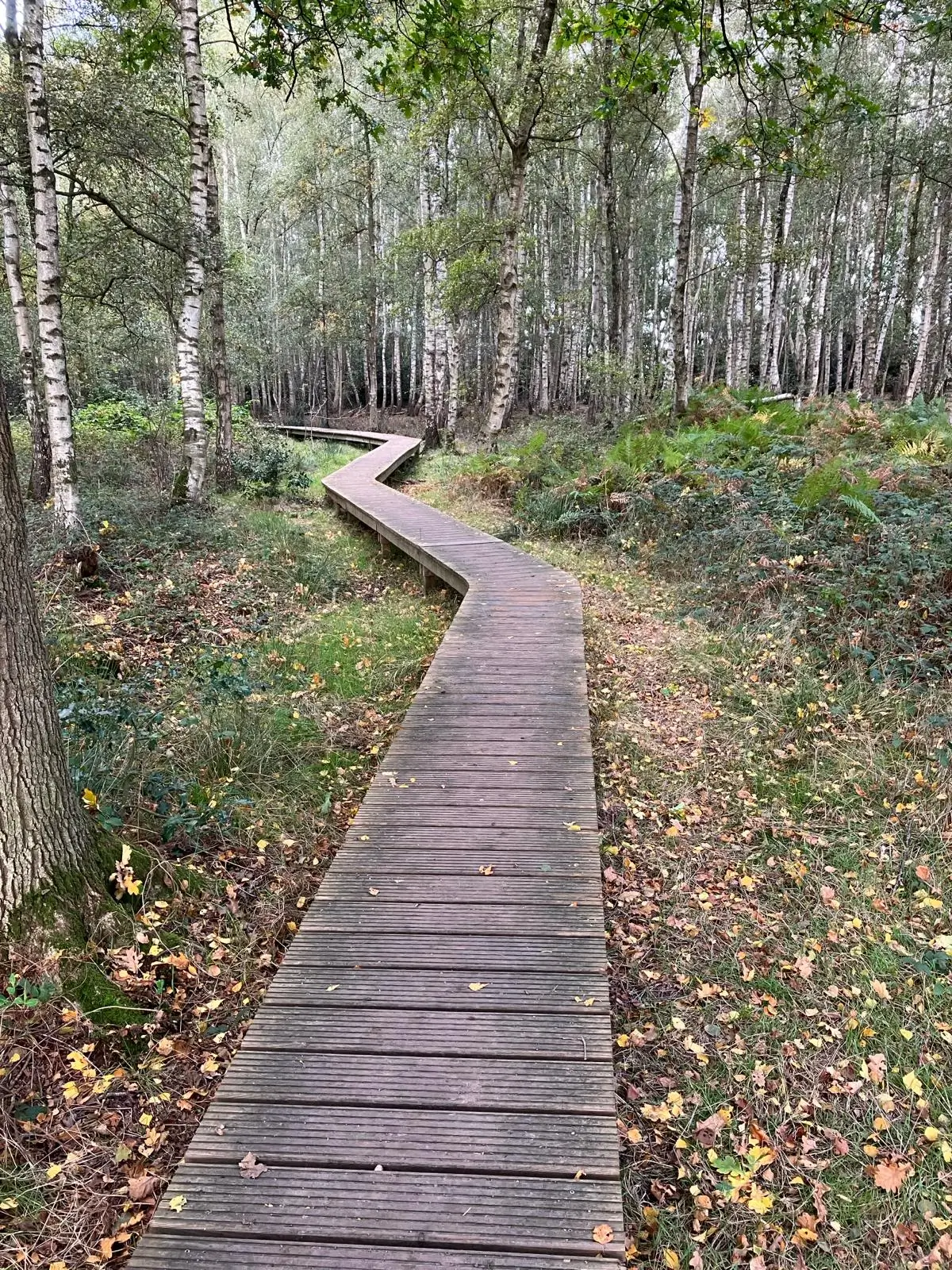 Wandeling afbeelding