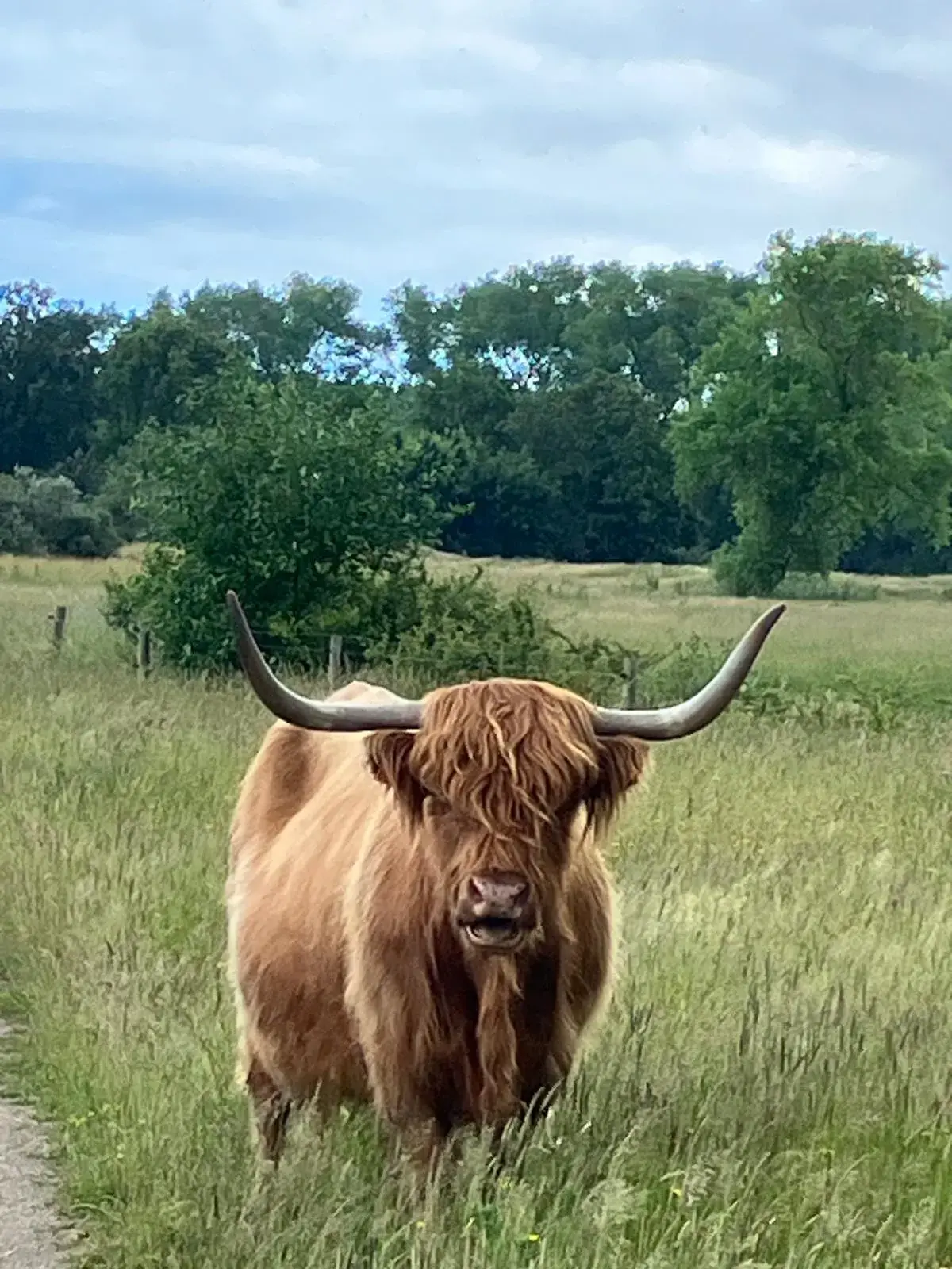 Wandeling afbeelding