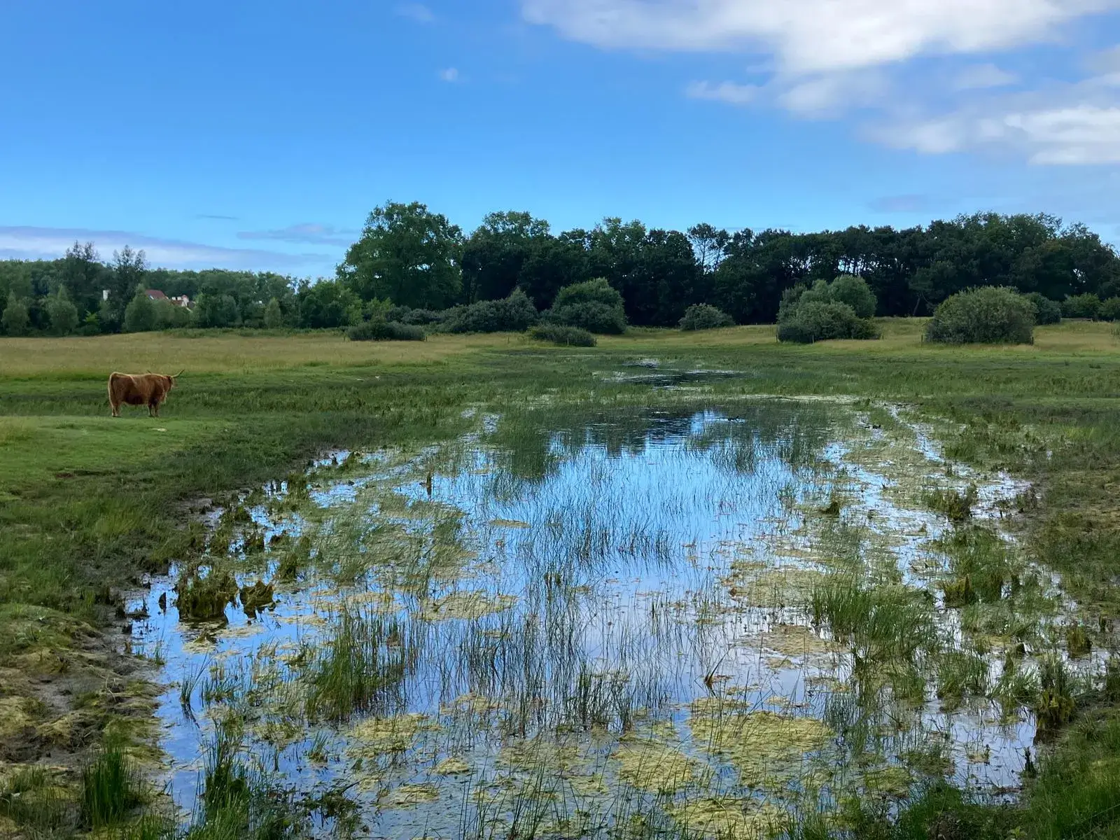 Wandeling afbeelding