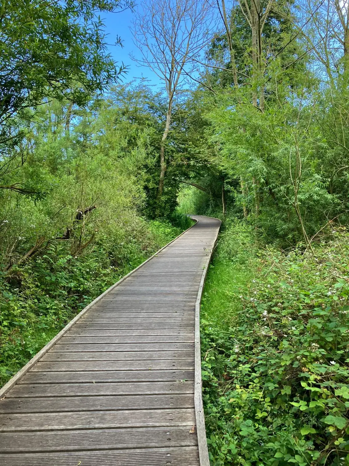 Wandeling afbeelding