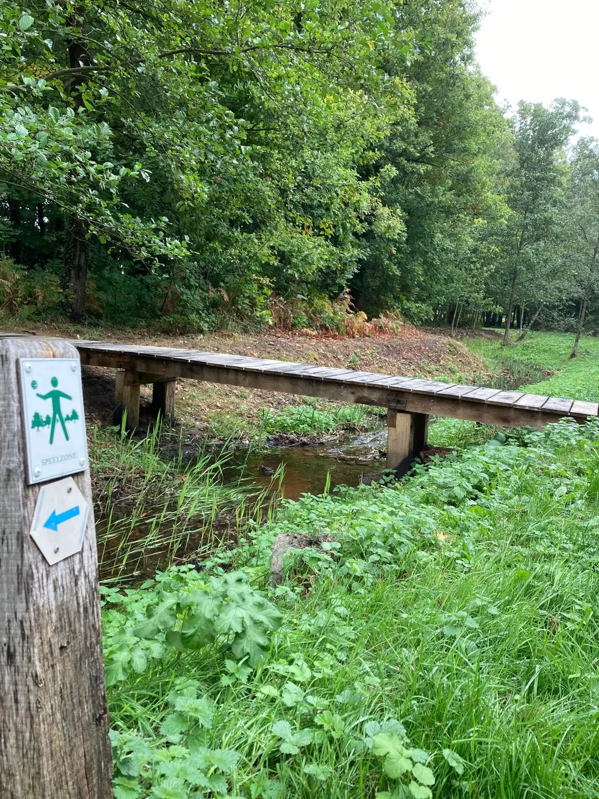 Wandeling afbeelding