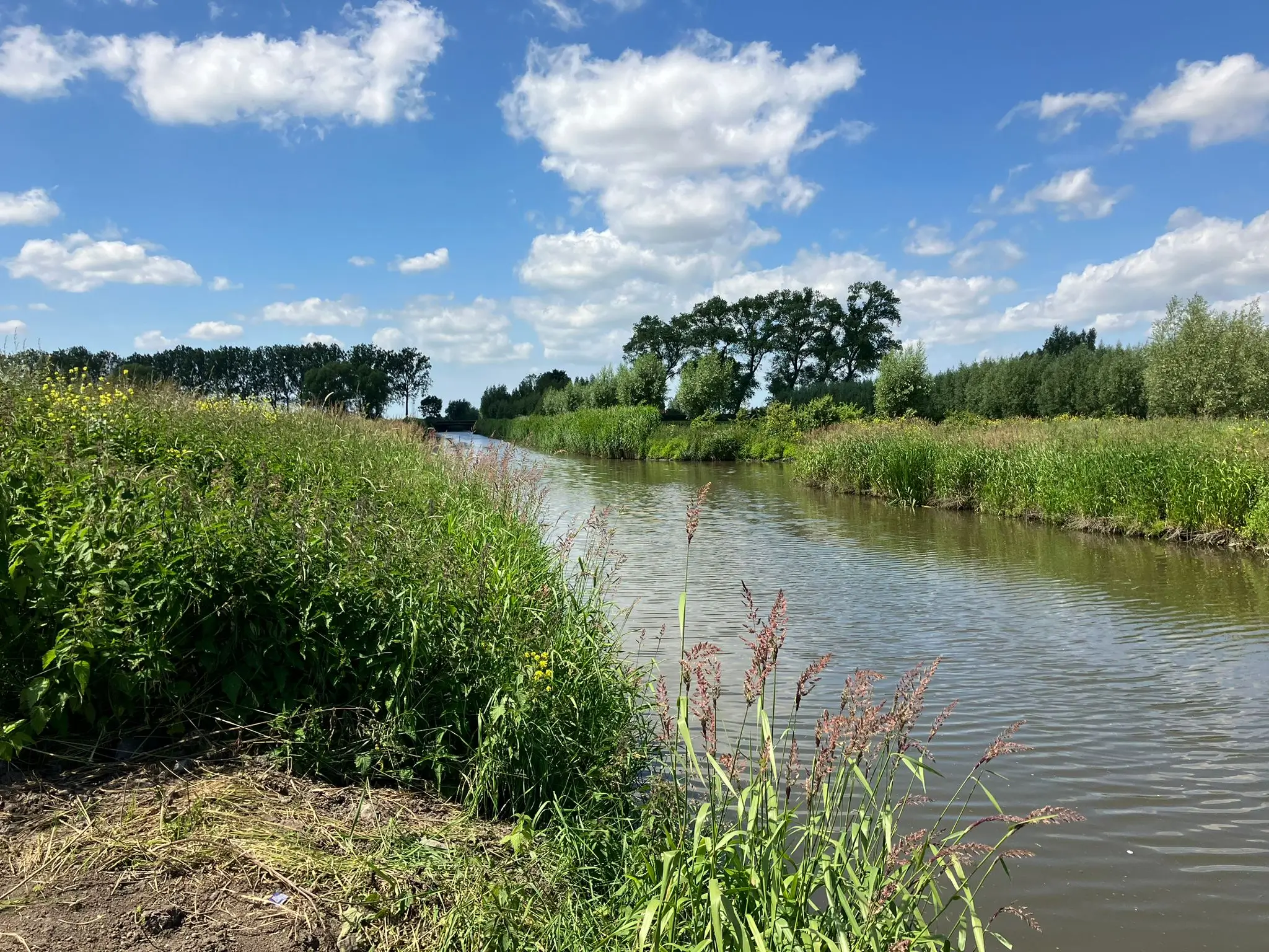 Wandeling afbeelding