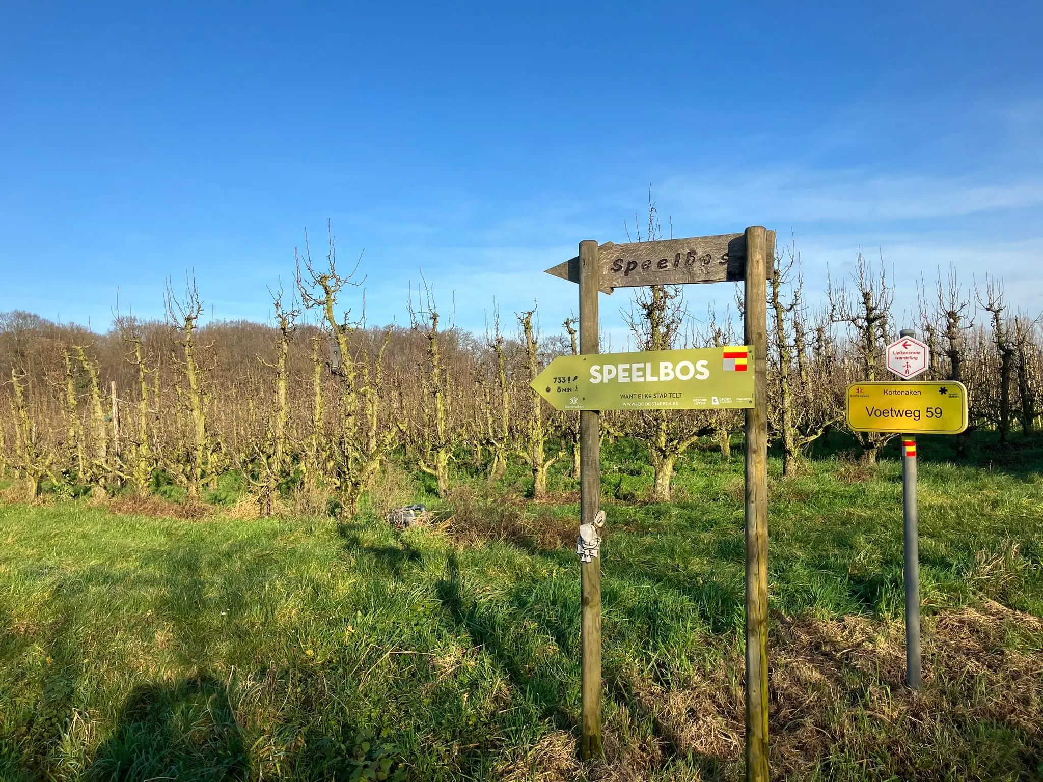Wandeling afbeelding