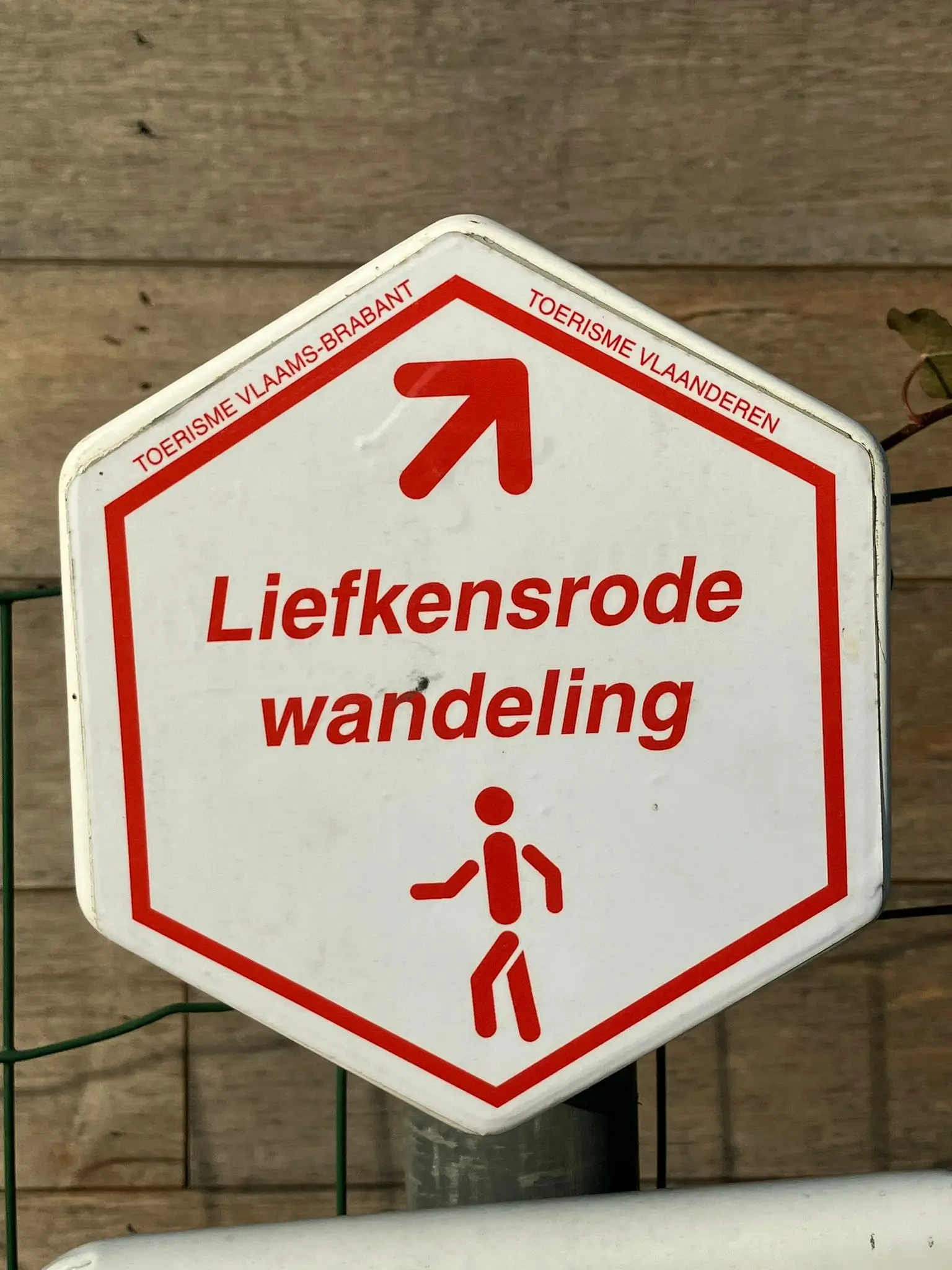 Wandeling afbeelding