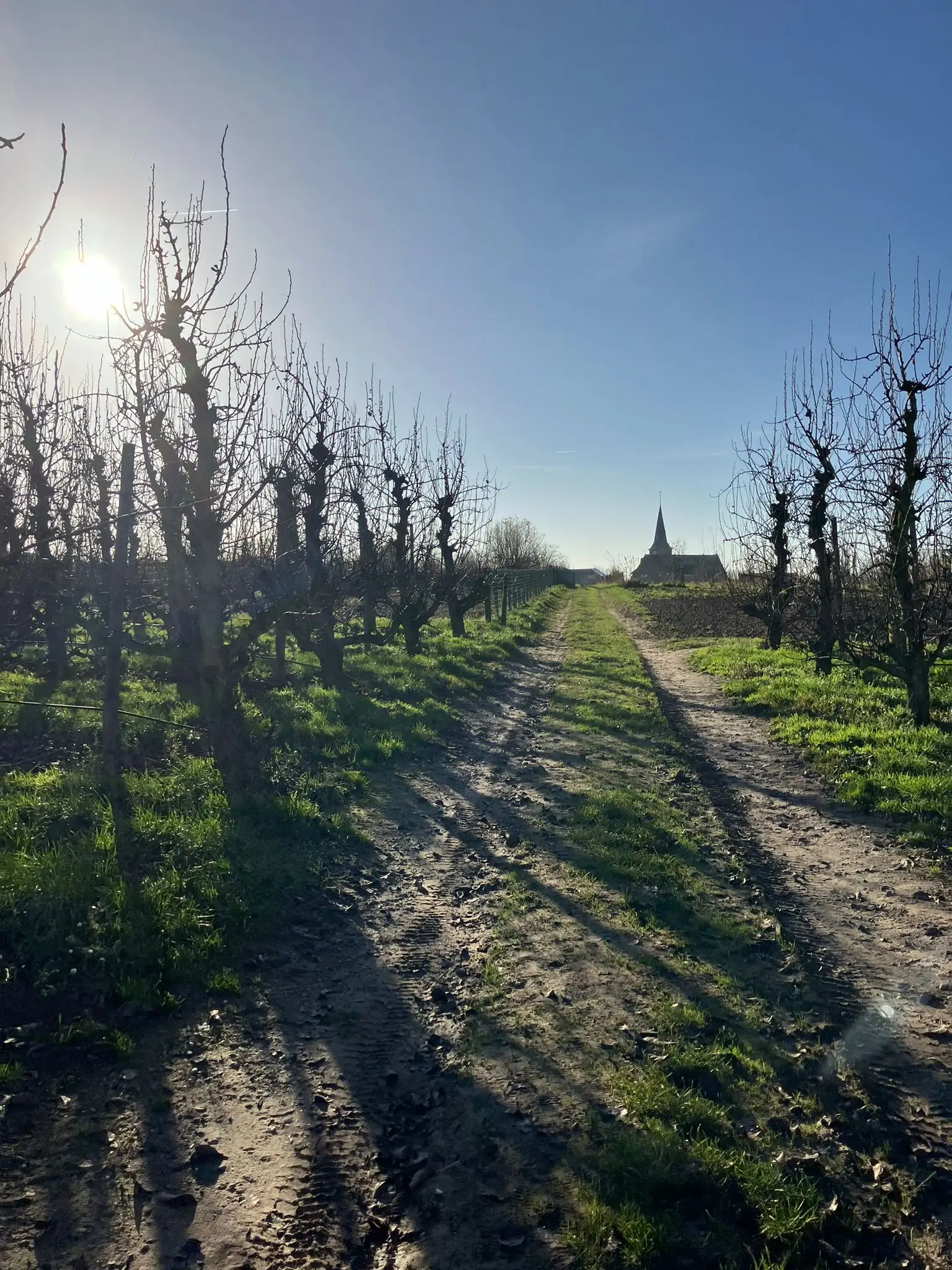 Wandeling afbeelding
