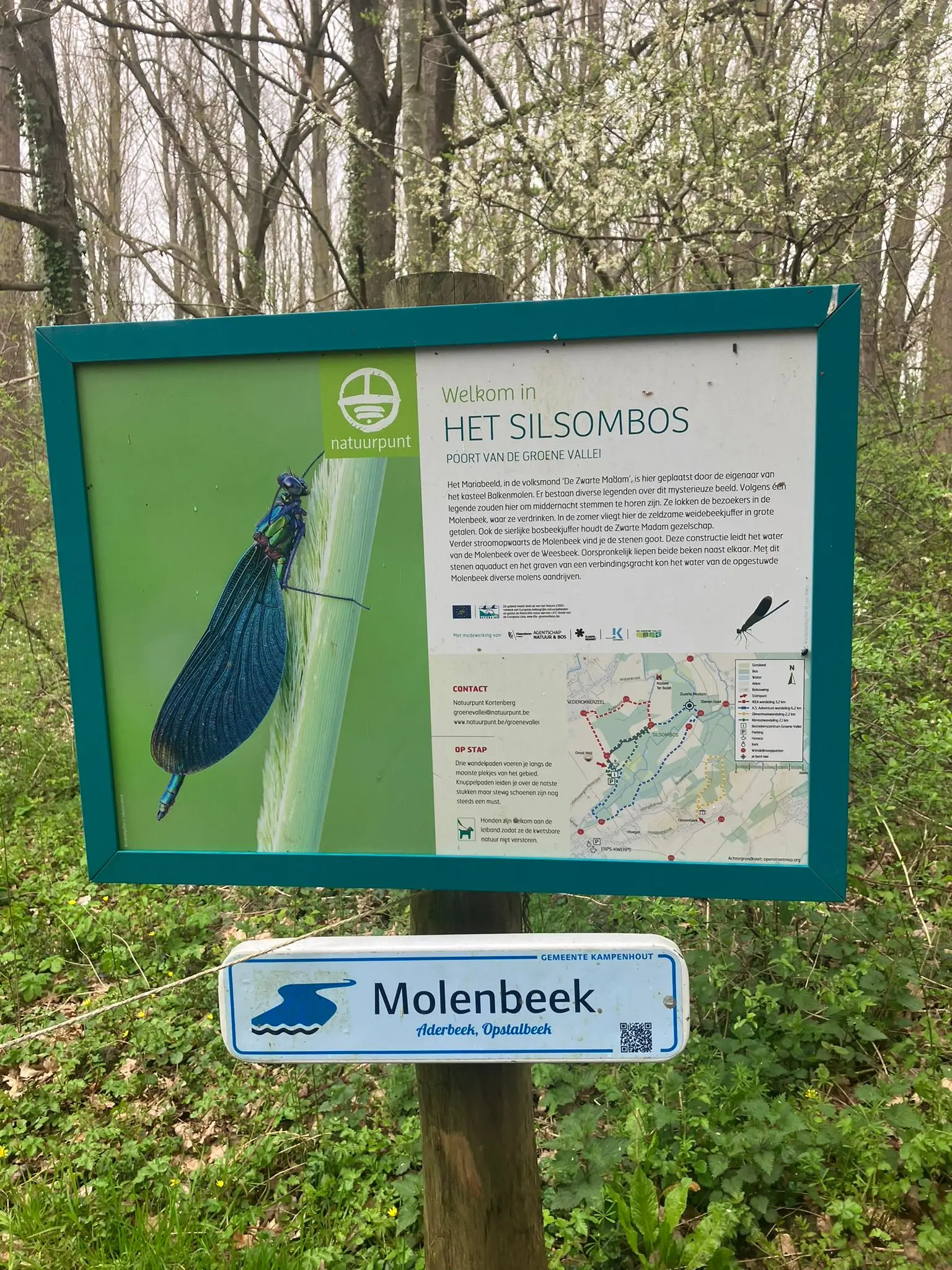 Wandeling afbeelding