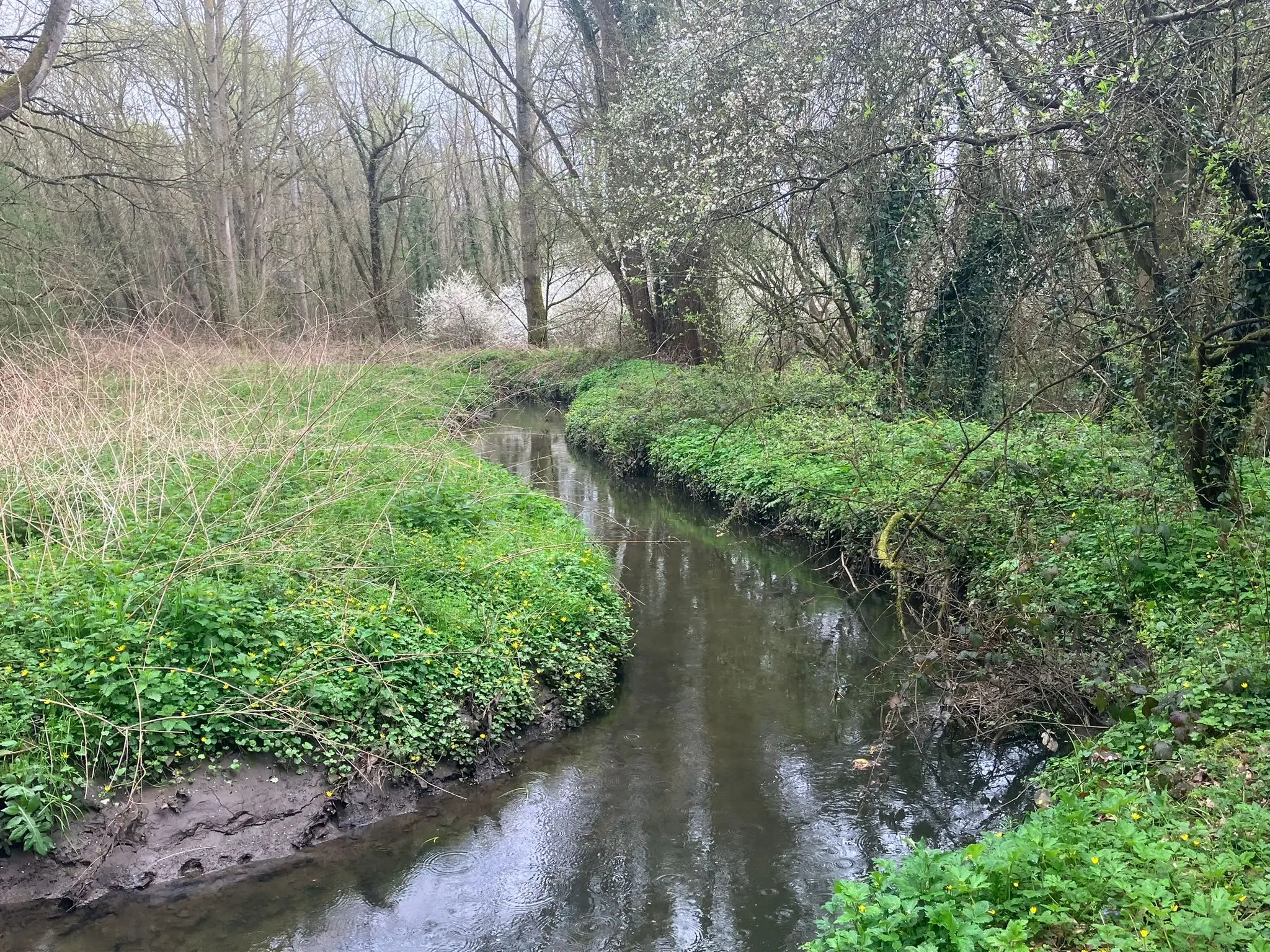 Wandeling afbeelding