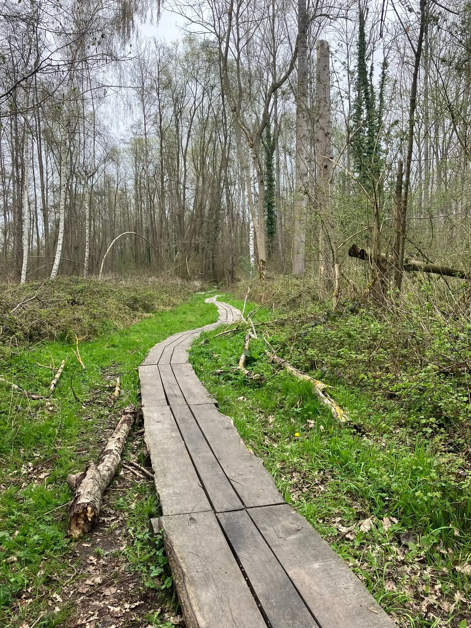 Wandeling afbeelding