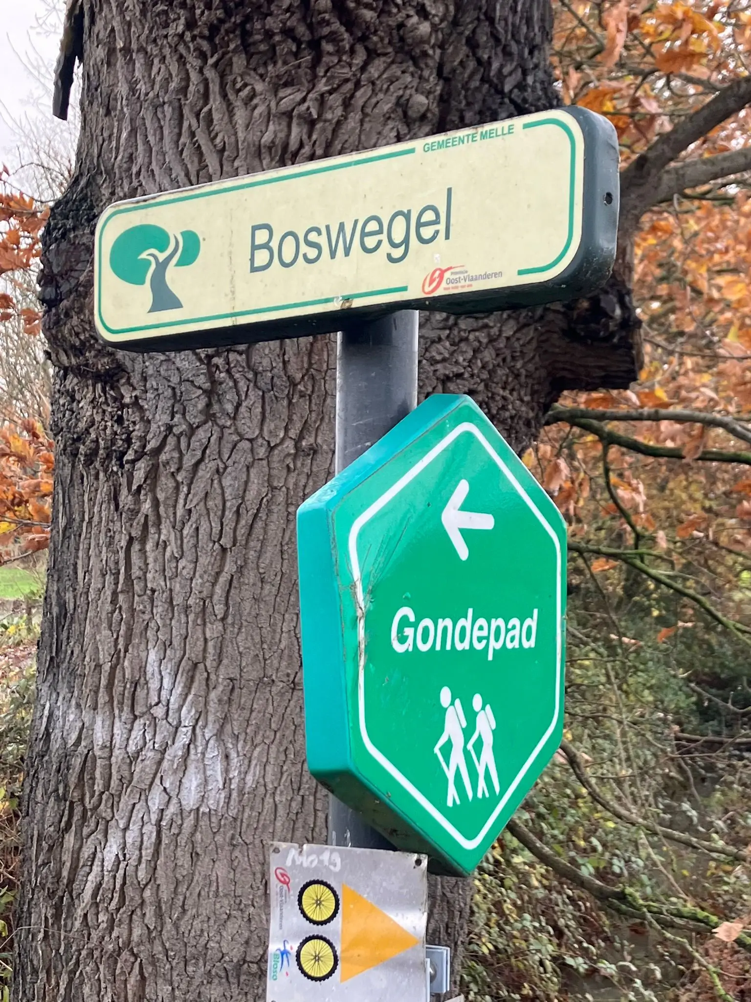 Wandeling afbeelding