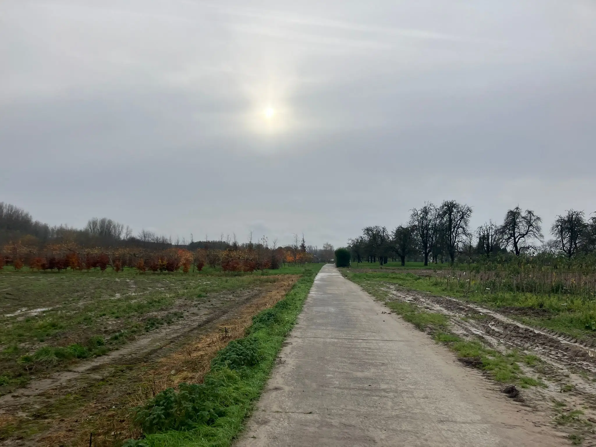 Wandeling afbeelding