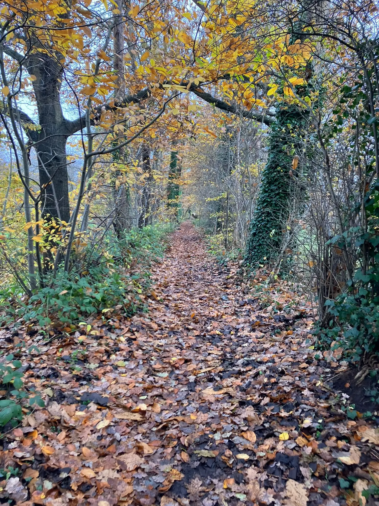 Wandeling afbeelding