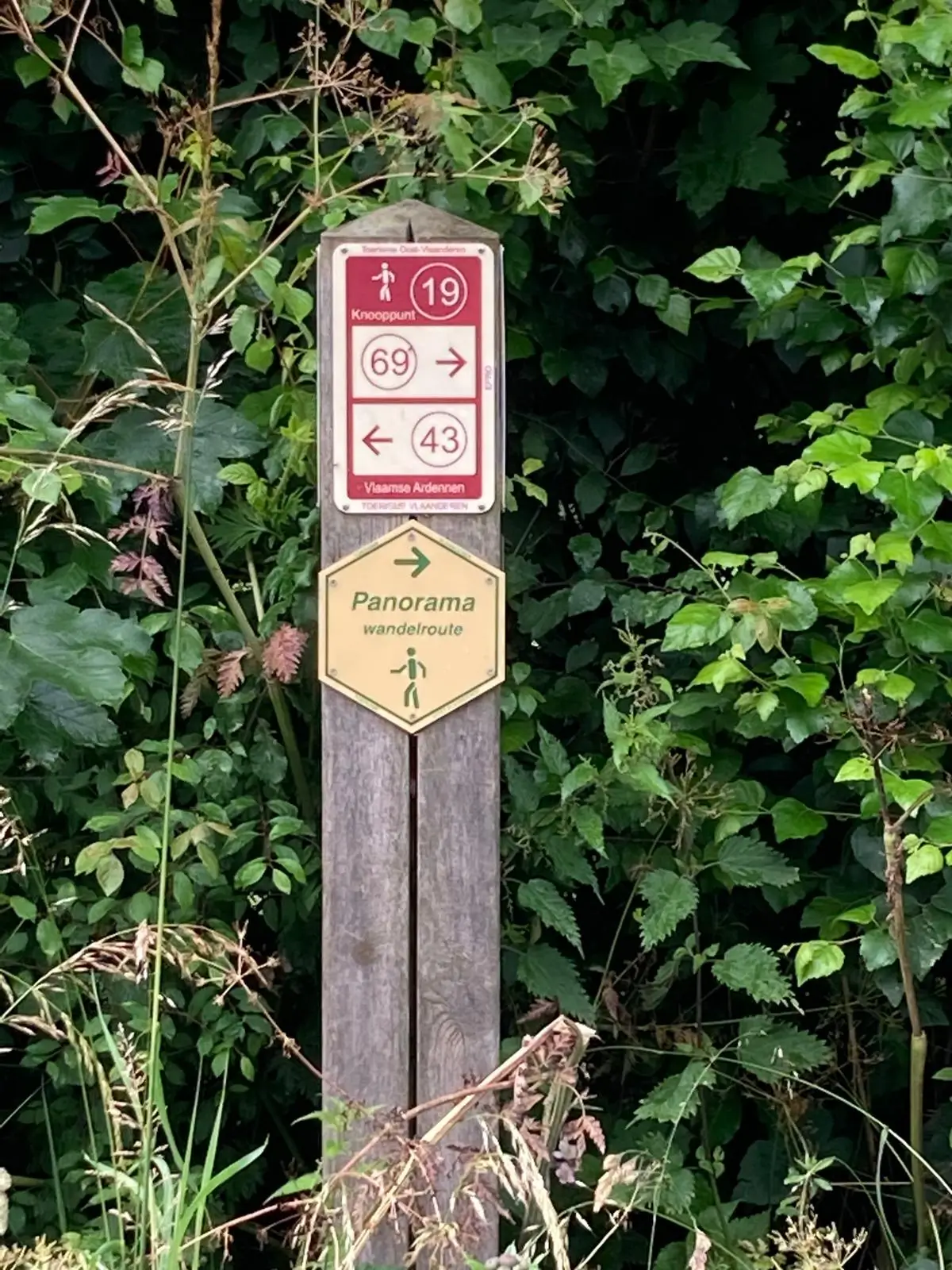 Wandeling afbeelding