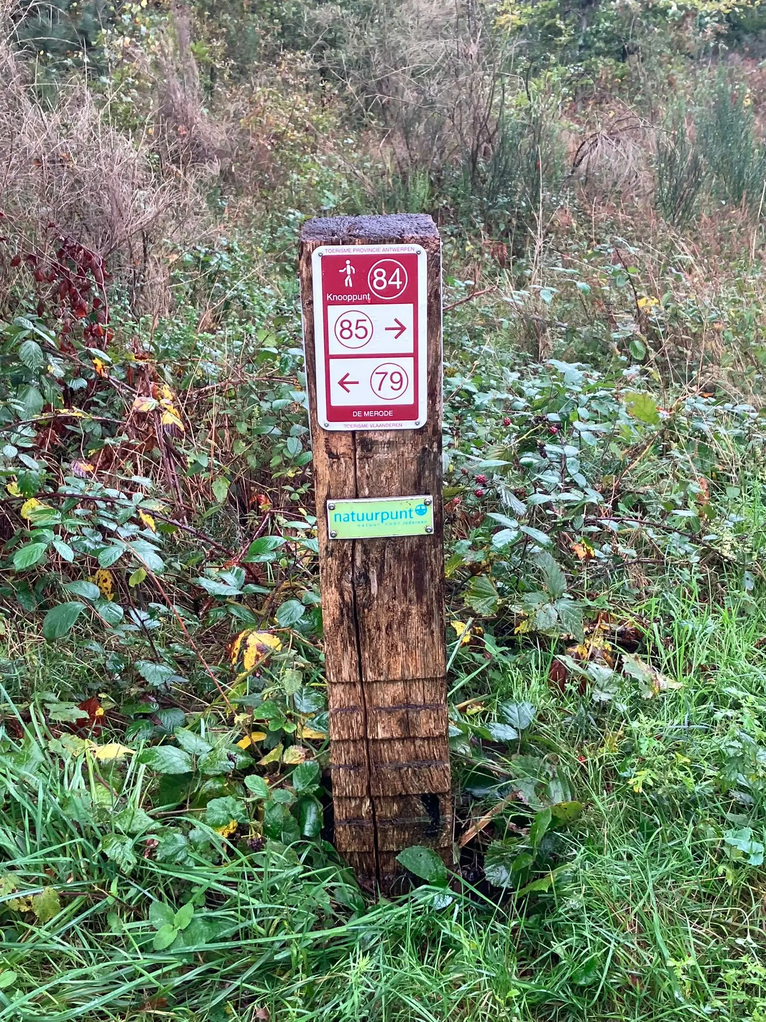 Wandeling afbeelding