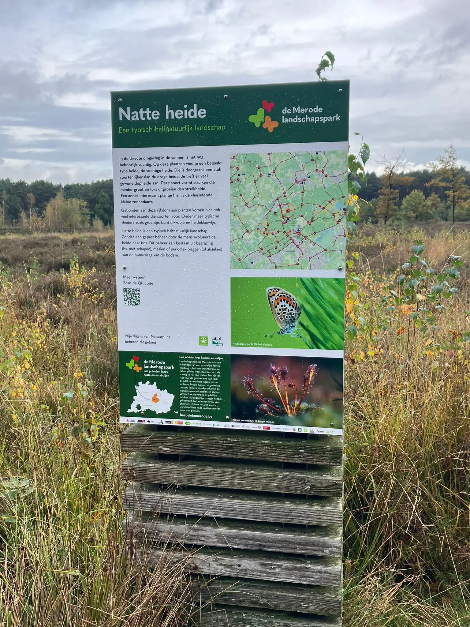 Wandeling afbeelding