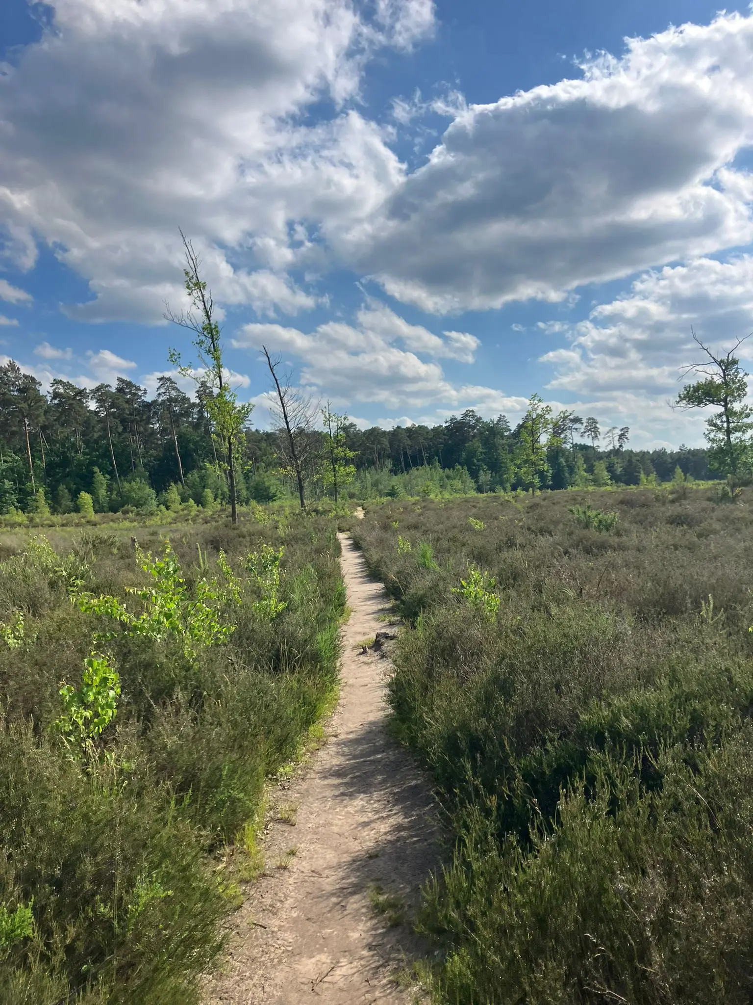 Wandeling afbeelding