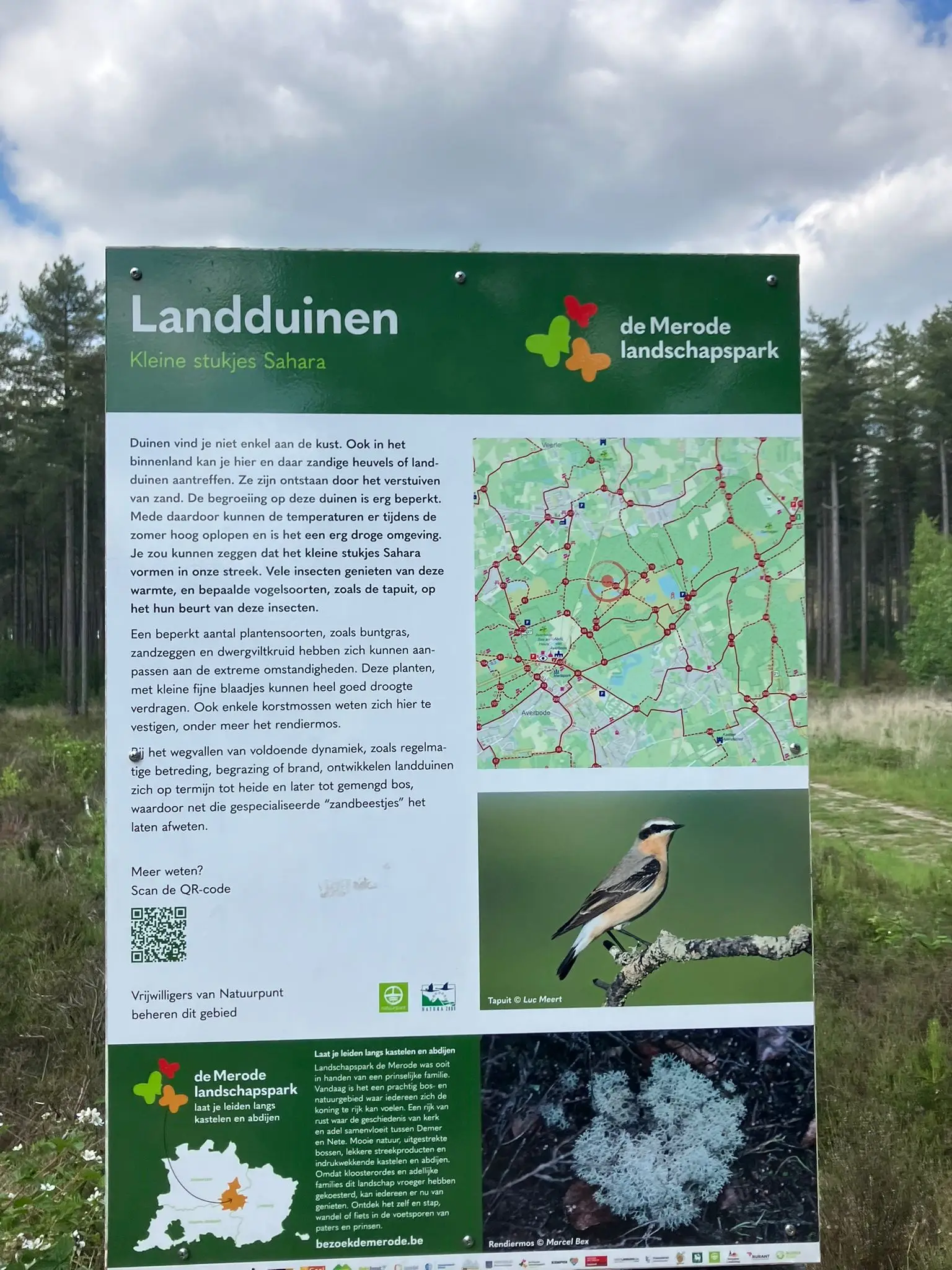 Wandeling afbeelding