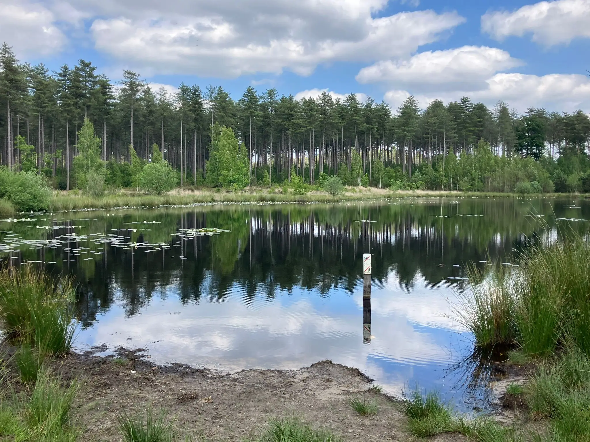 Wandeling afbeelding