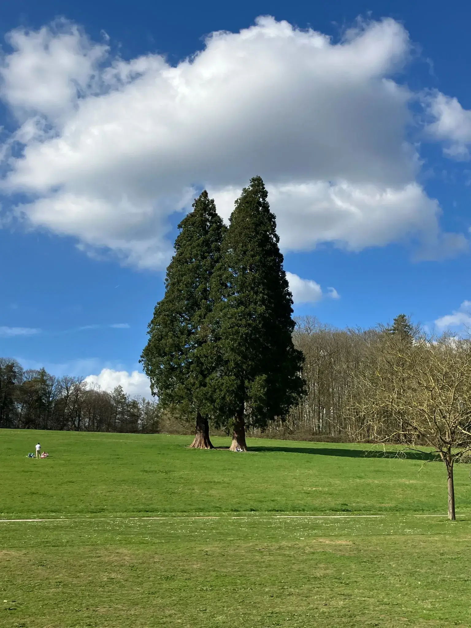 Wandeling afbeelding