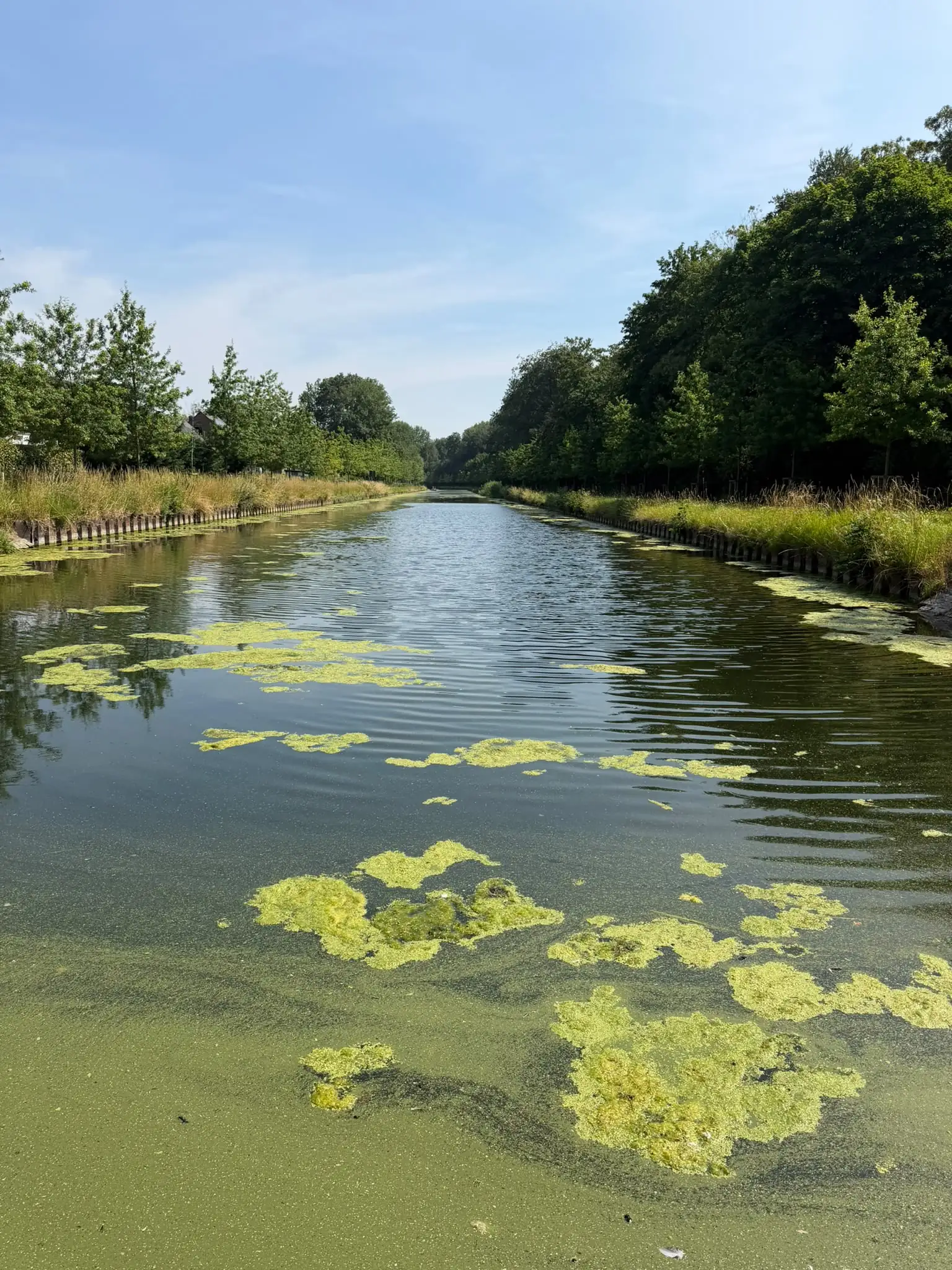 Wandeling afbeelding