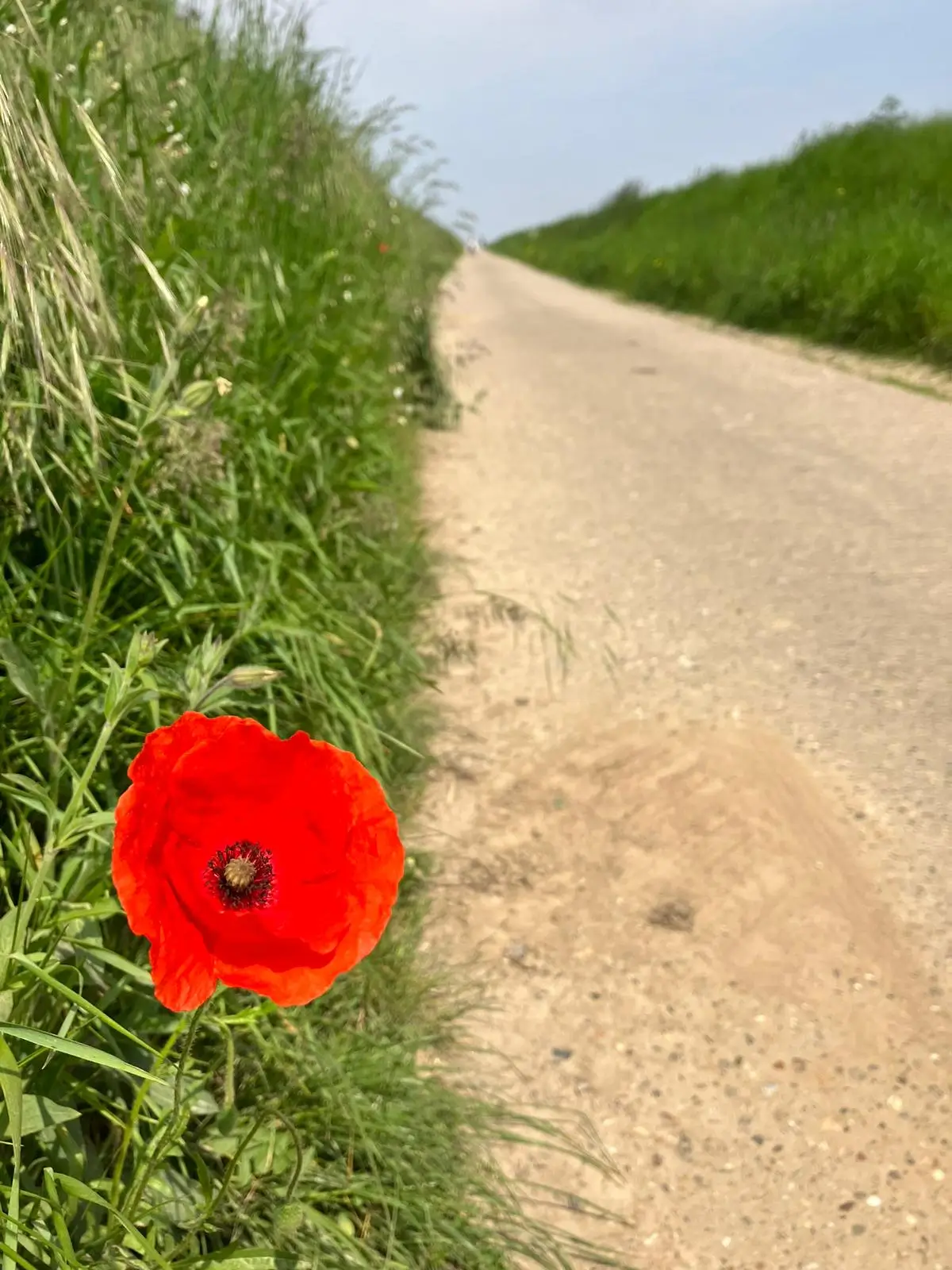 Wandeling afbeelding