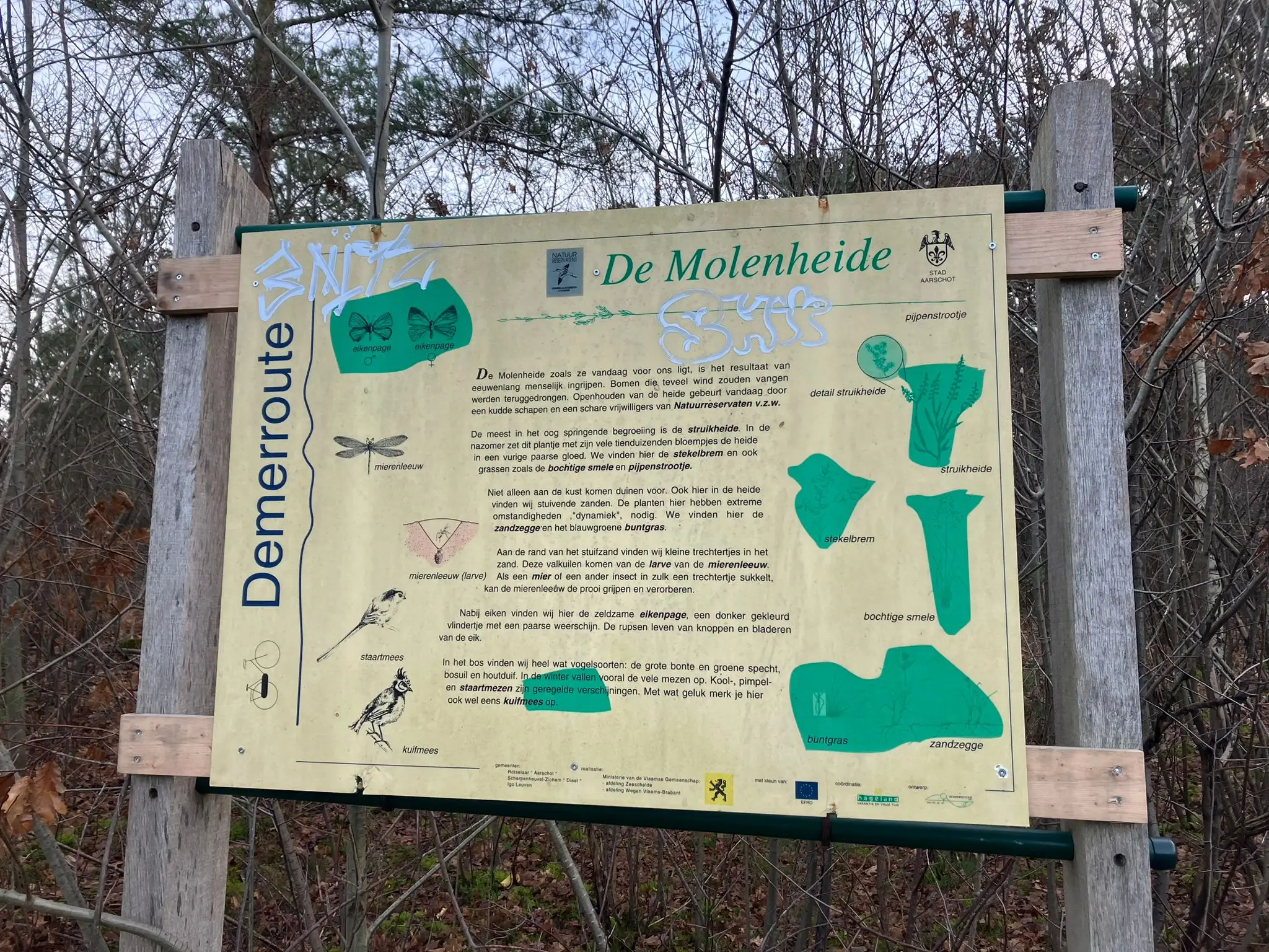 Wandeling afbeelding