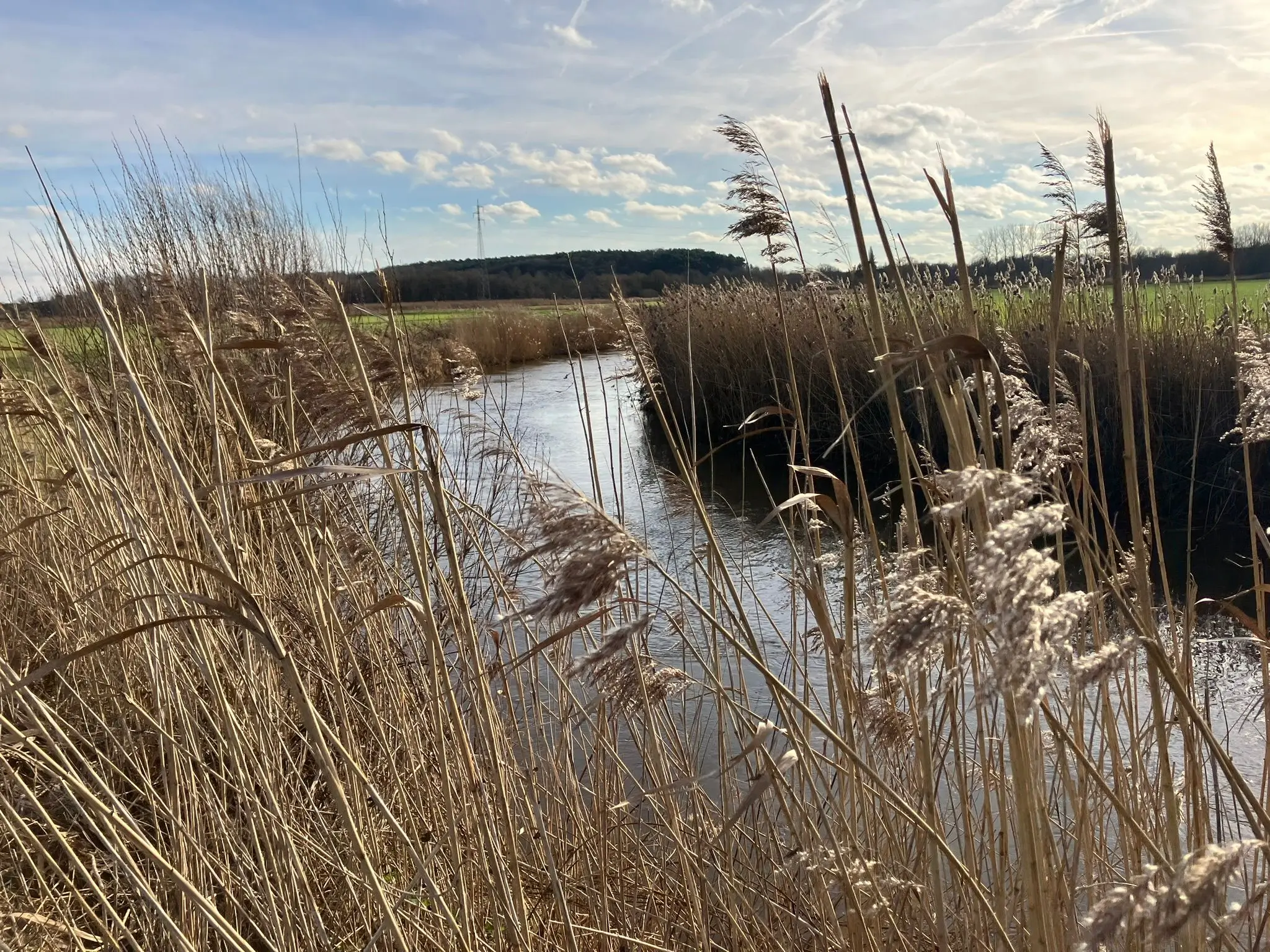 Wandeling afbeelding
