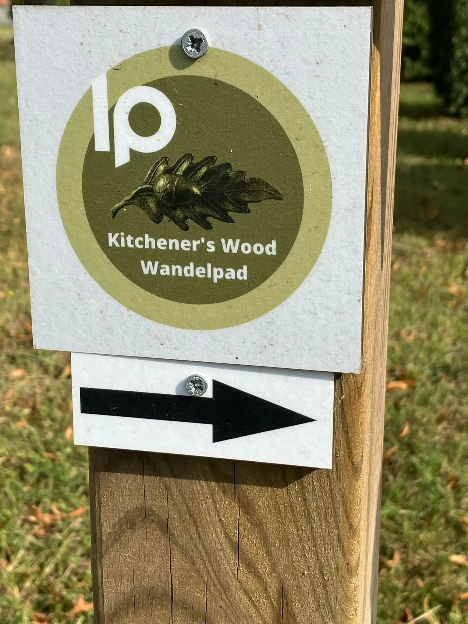 Wandeling afbeelding
