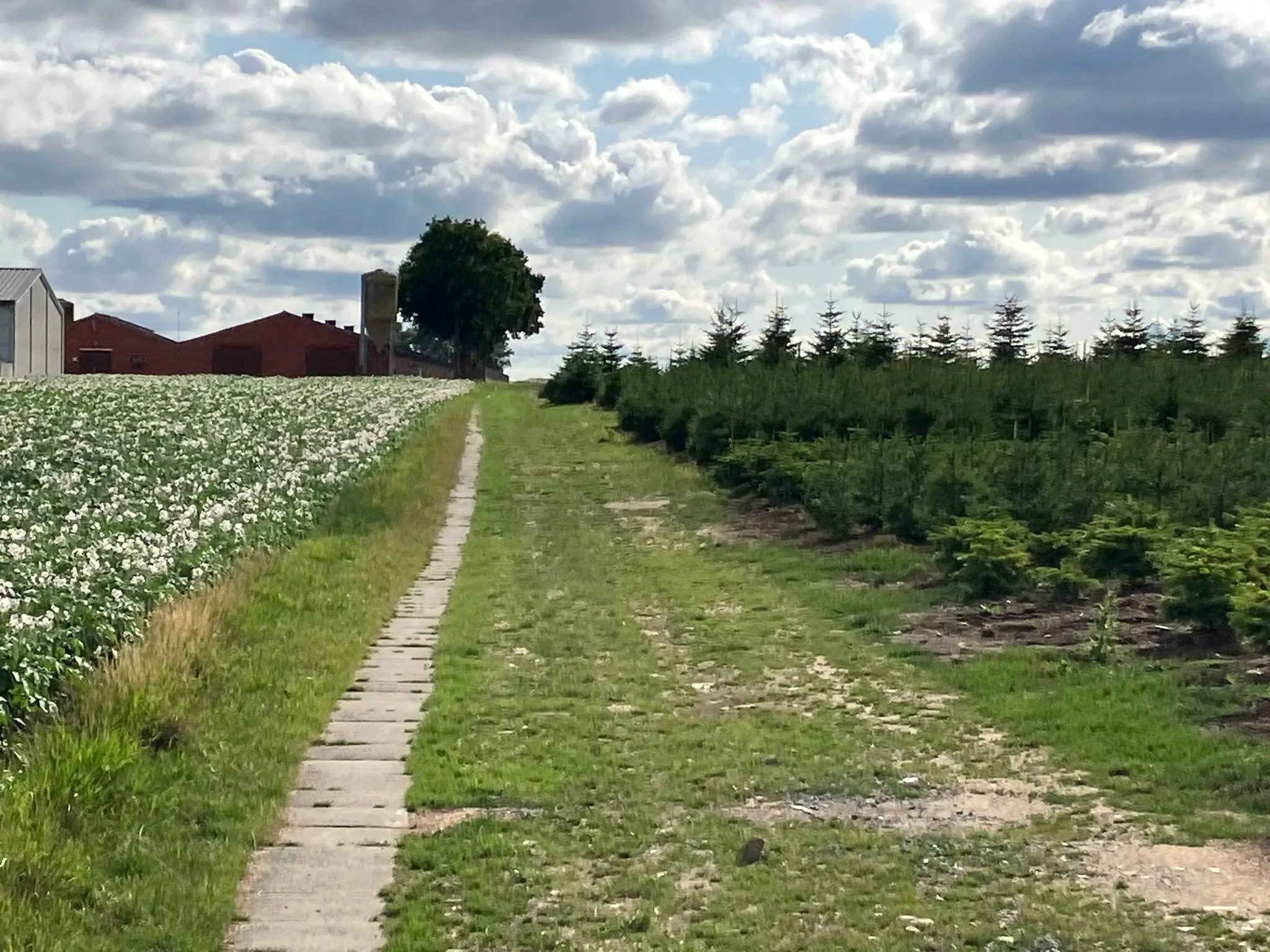 Wandeling afbeelding