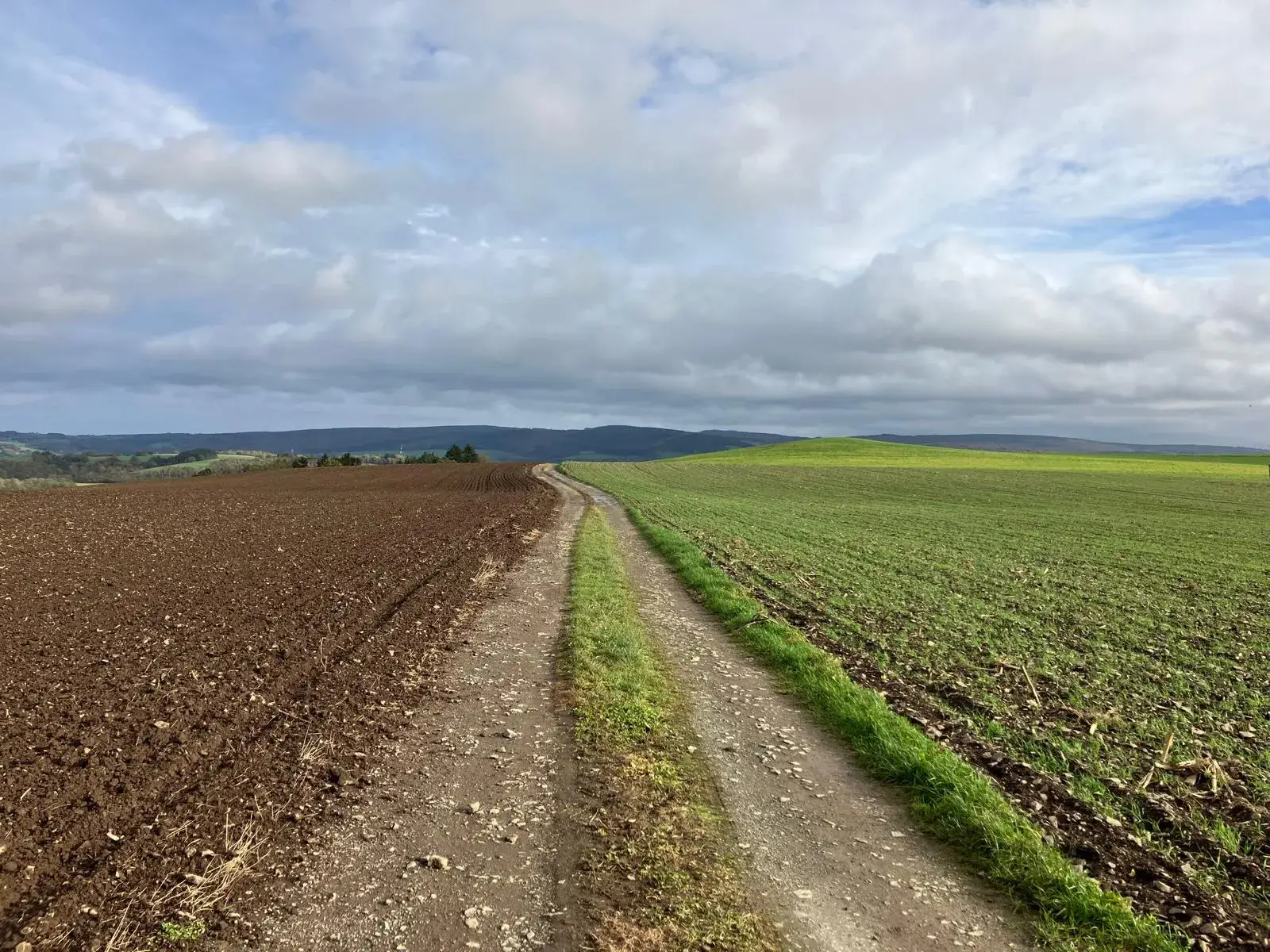 Wandeling afbeelding