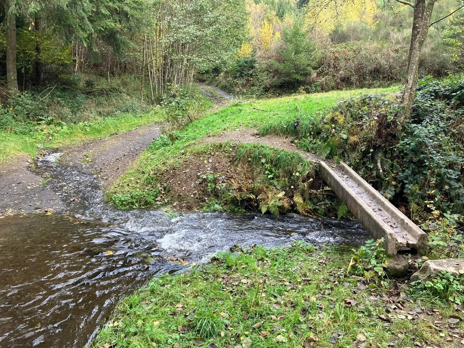 Wandeling afbeelding