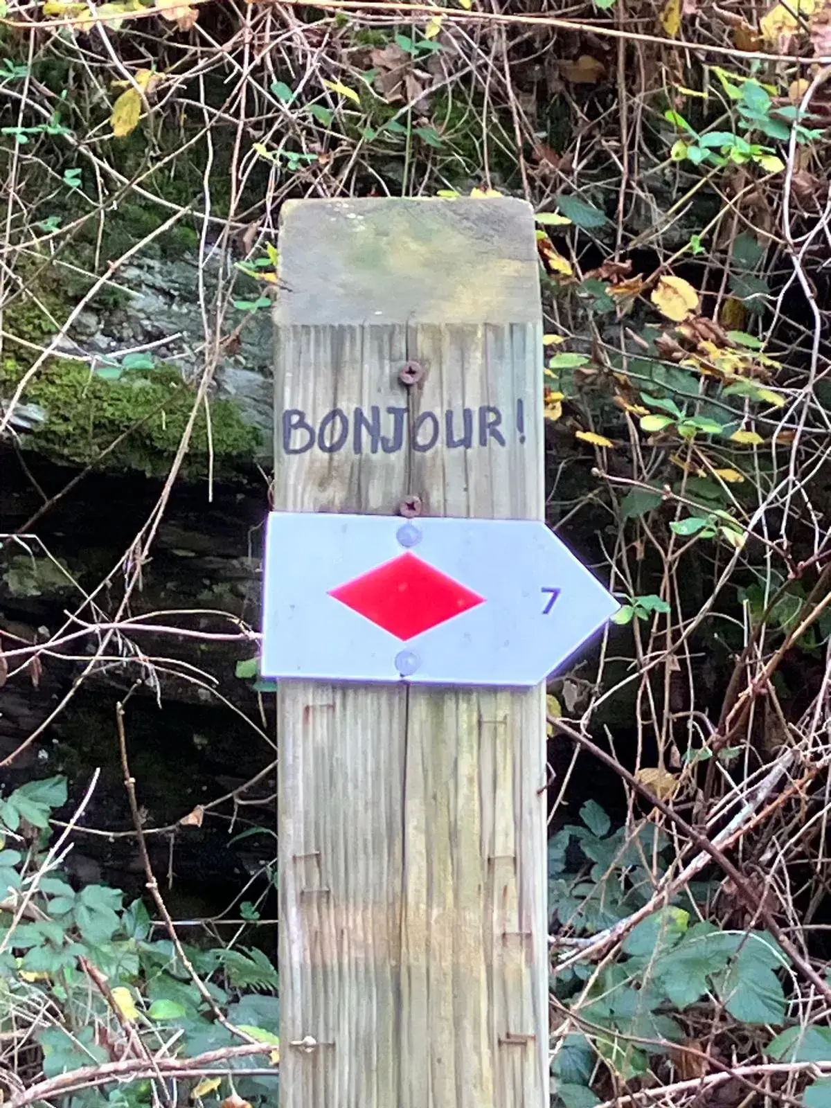 Wandeling afbeelding