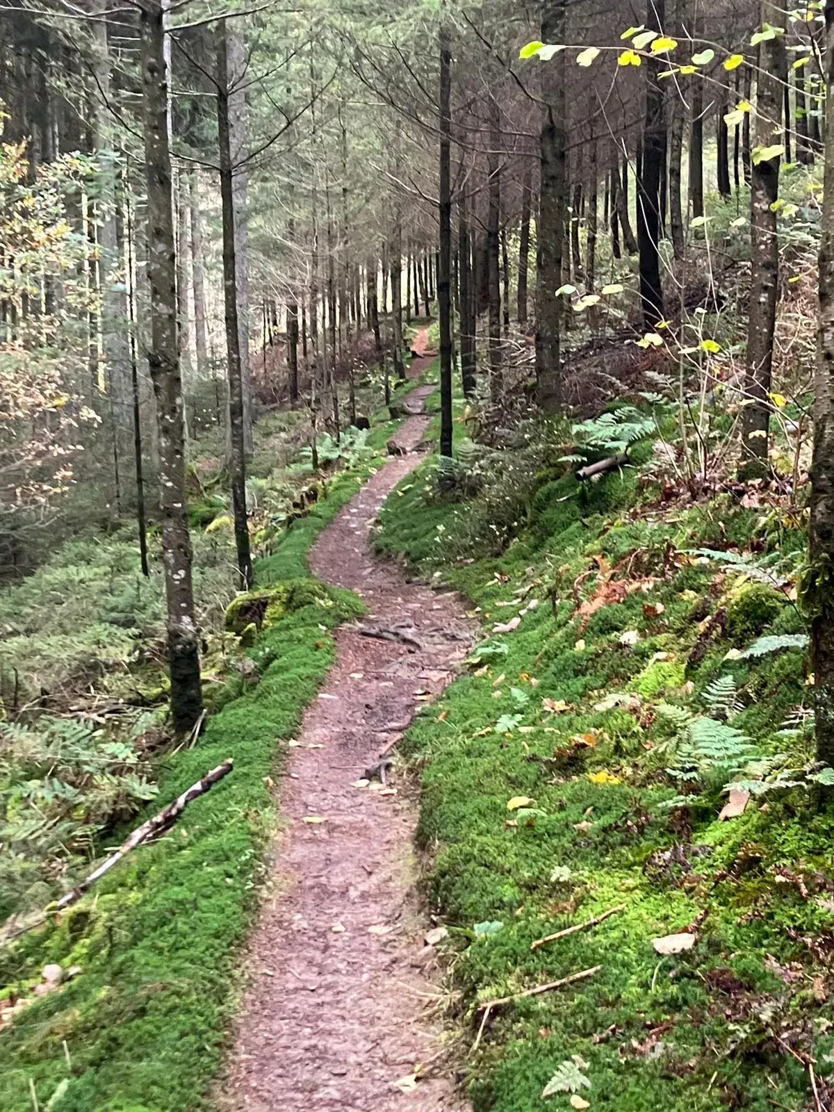 Wandeling afbeelding