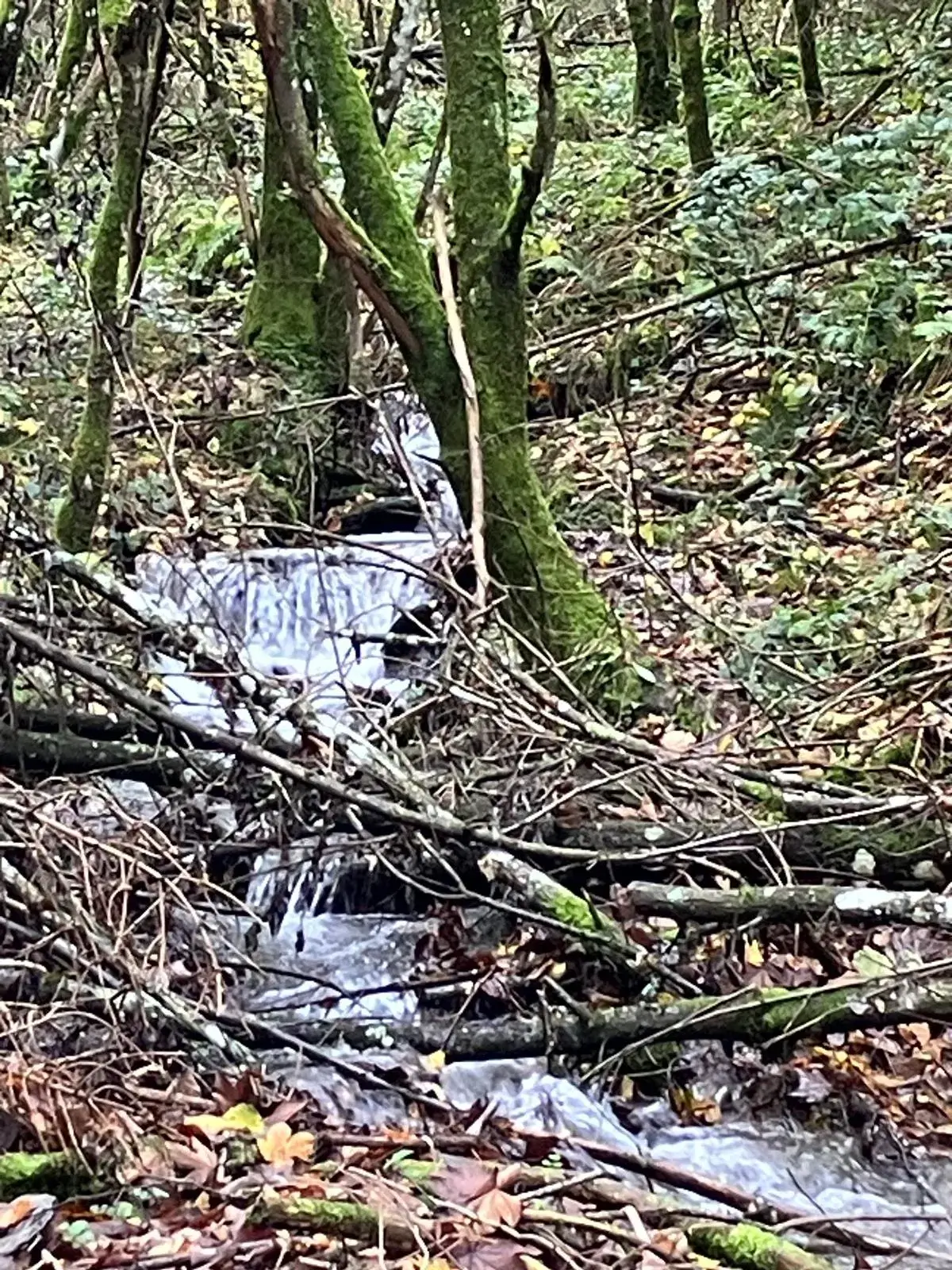 Wandeling afbeelding