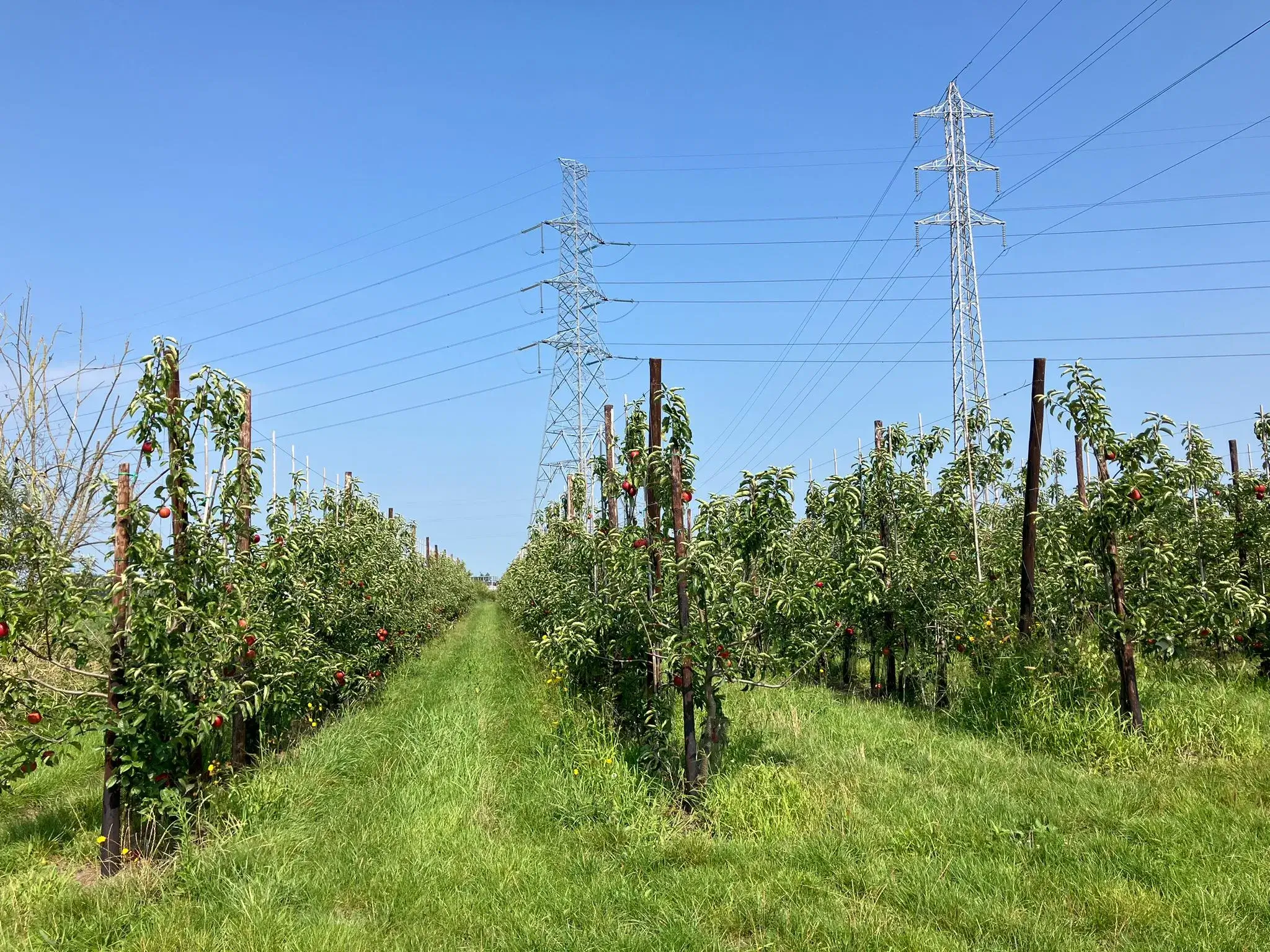 Wandeling afbeelding