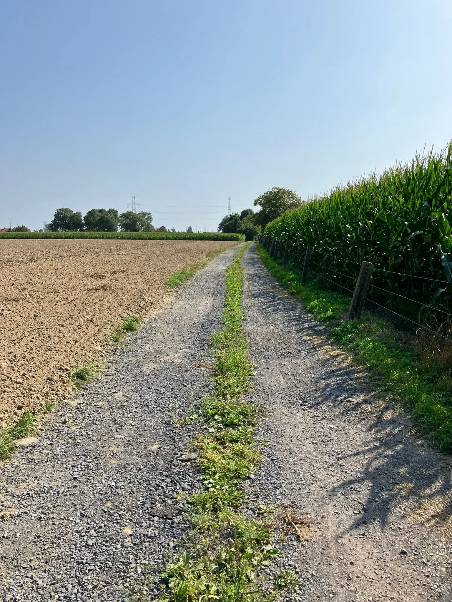 Wandeling afbeelding
