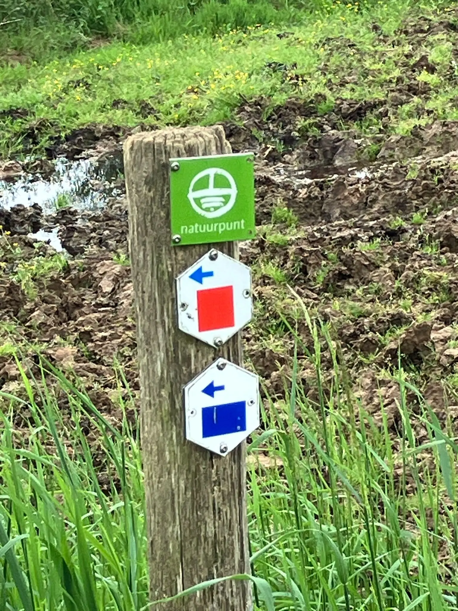 Wandeling afbeelding