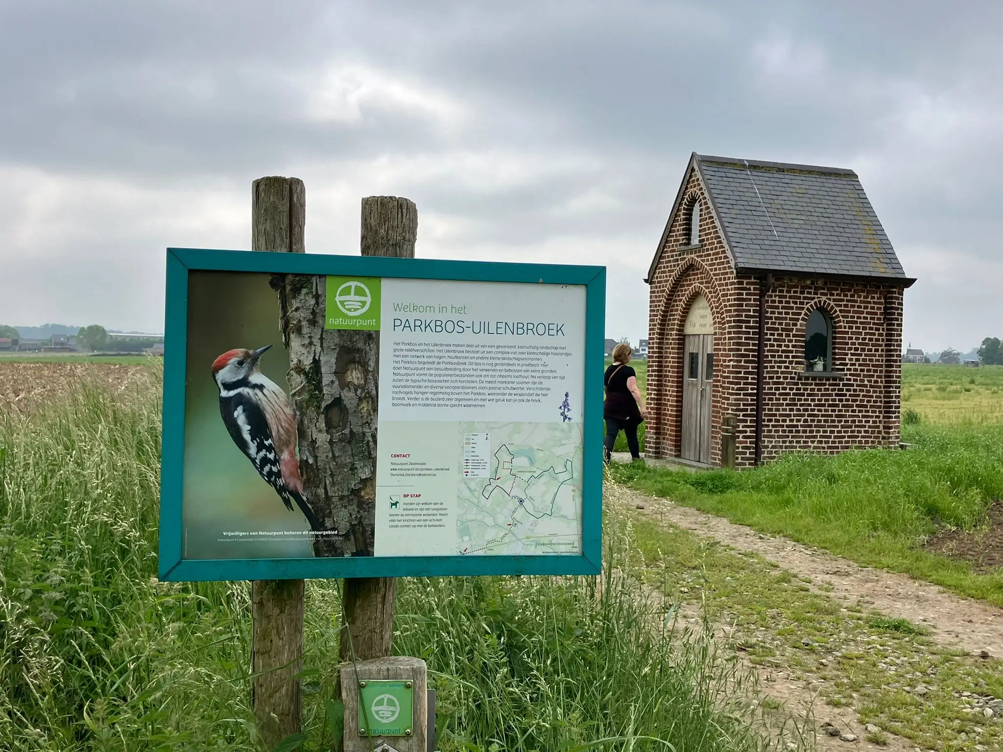 Wandeling afbeelding