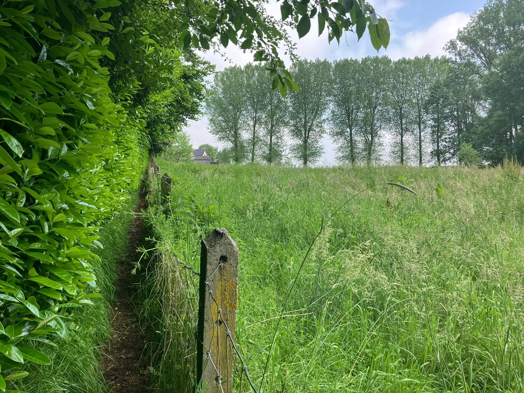 Wandeling afbeelding